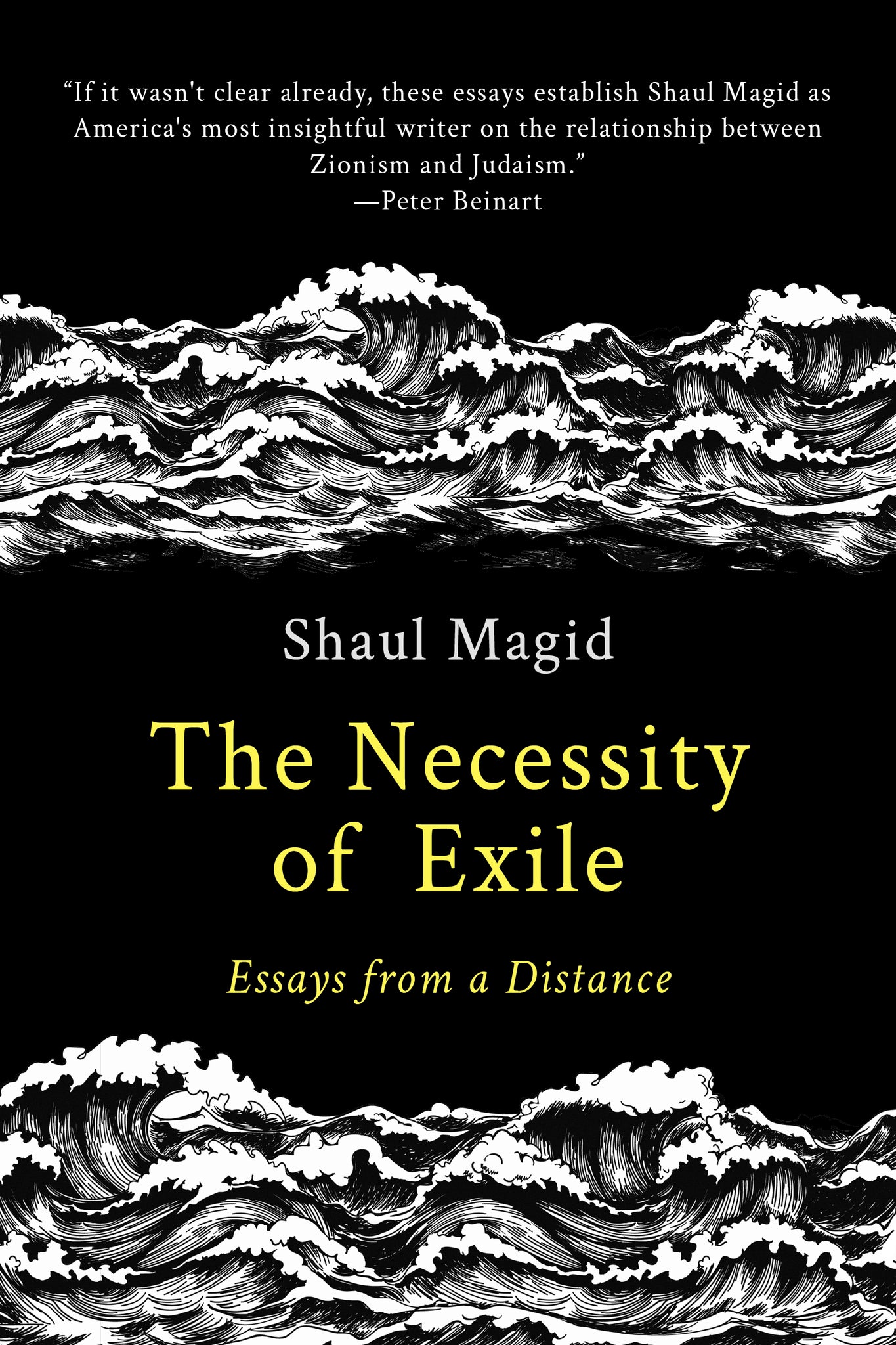 Cover image for The Necessity of Exile ISBN 9798986780313