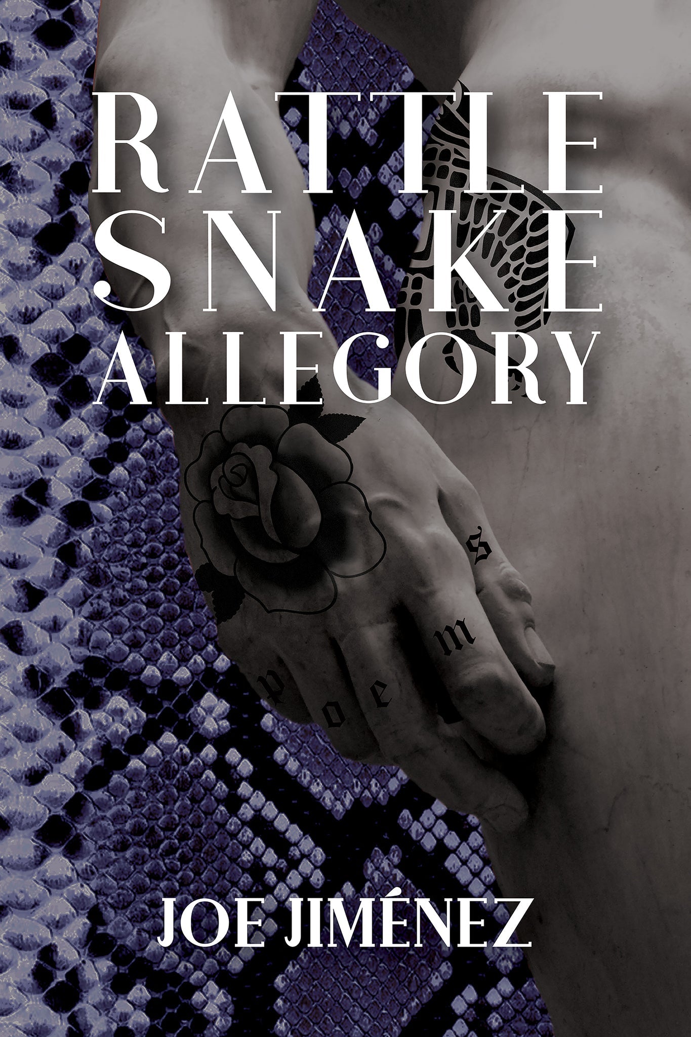 Cover image for Rattlesnake Allegory ISBN 9781597098366