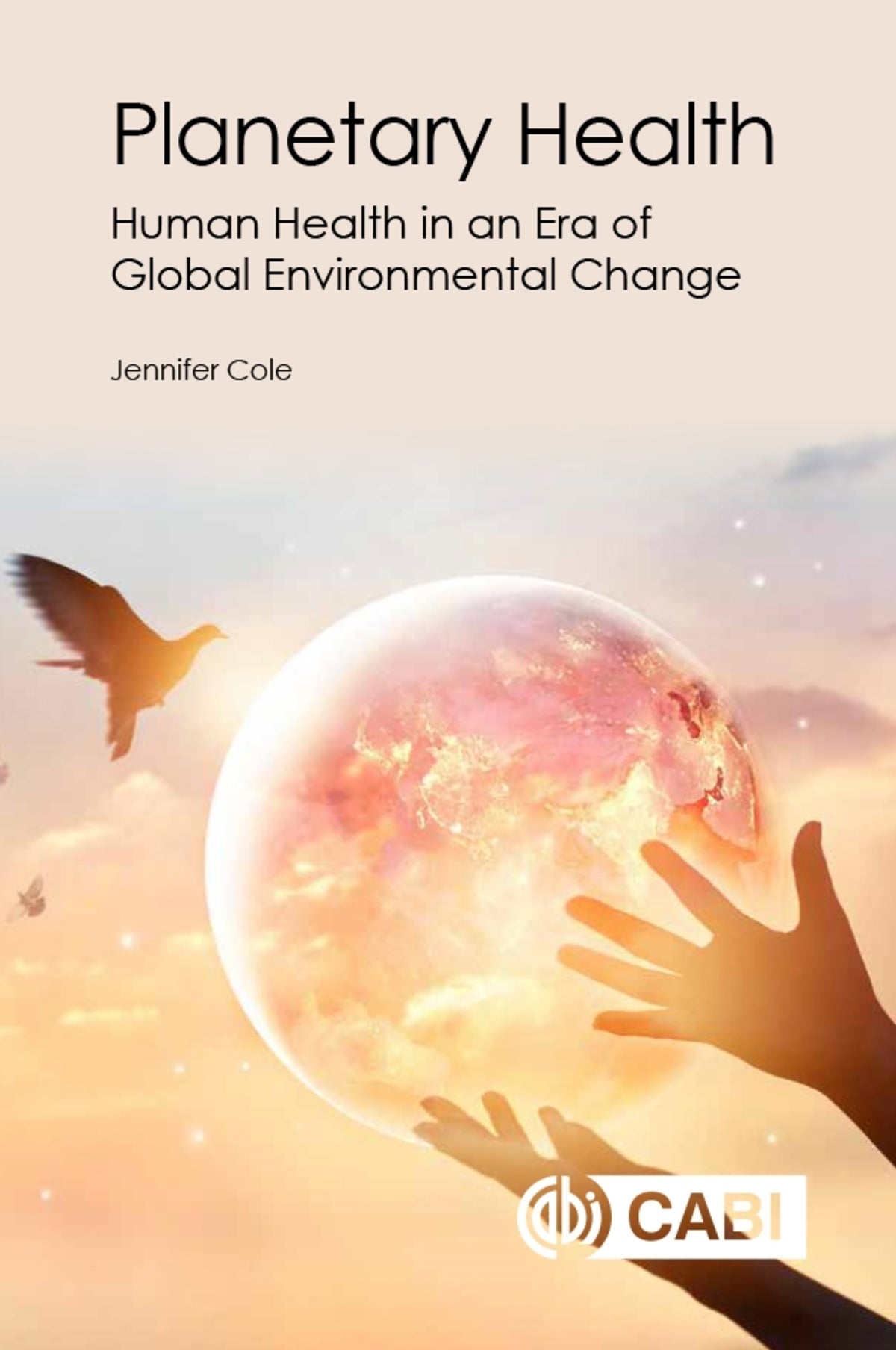 Cover image for Planetary Health ISBN 9781789241648