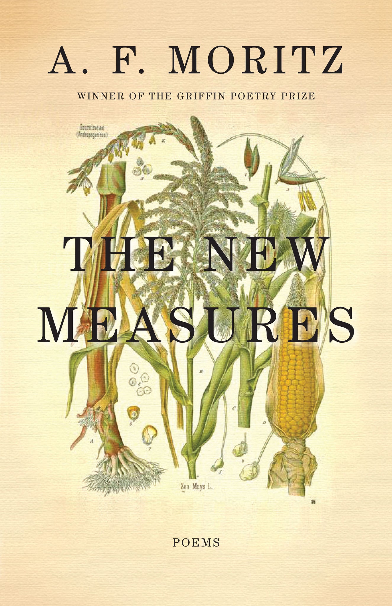 Cover image for The New Measures ISBN 9781770891104