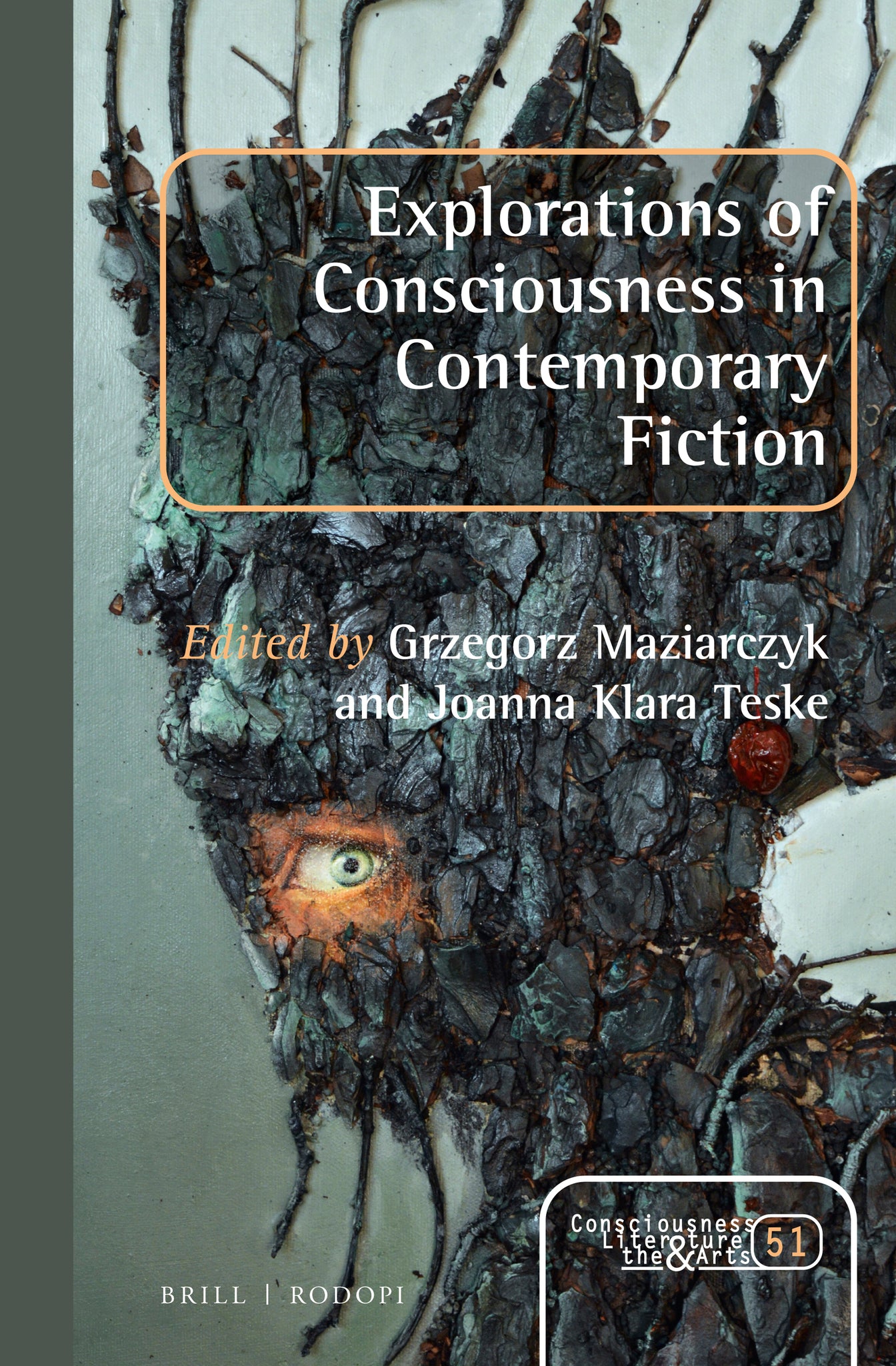 Explorations of Consciousness in Contemporary Fiction