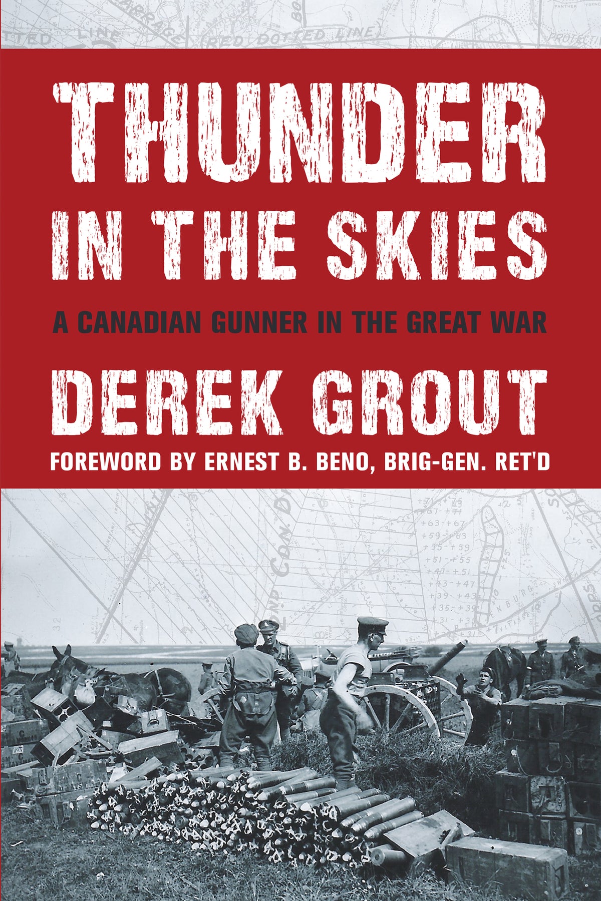 Cover image for Thunder in the Skies ISBN 9781459730939
