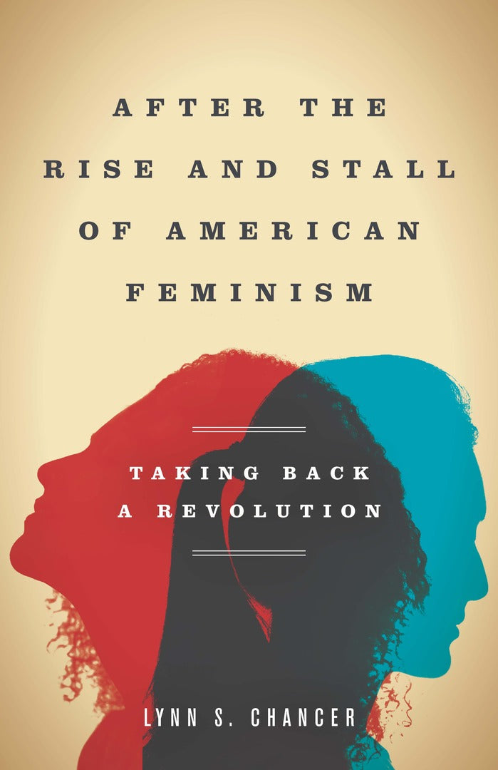 Cover image for After the Rise and Stall of American Feminism ISBN 9781503607439
