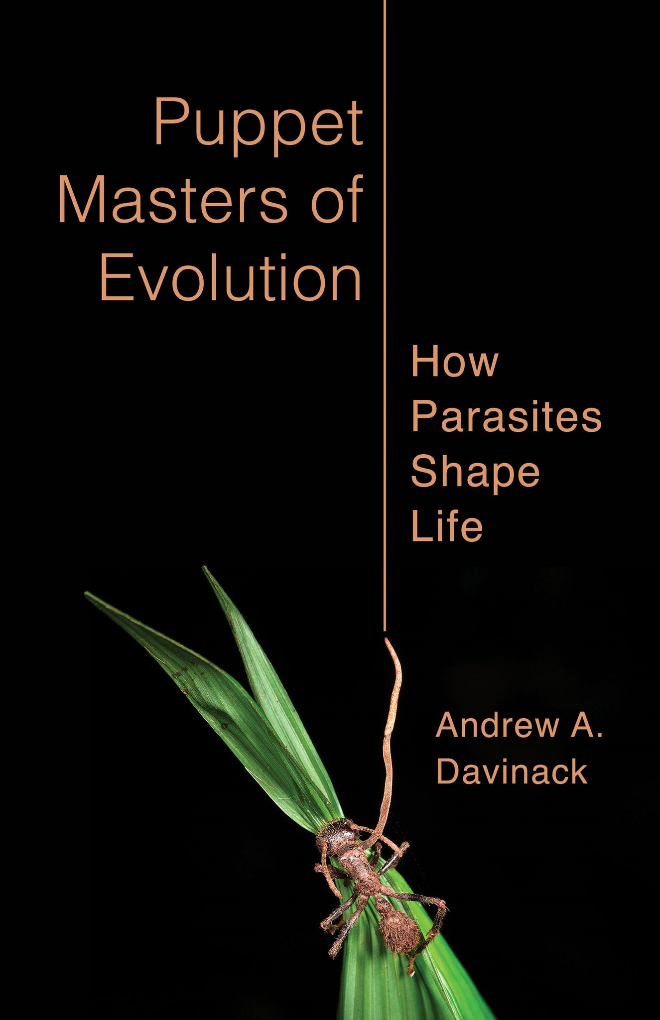 Cover image for Puppet Masters of Evolution ISBN 9780231223263