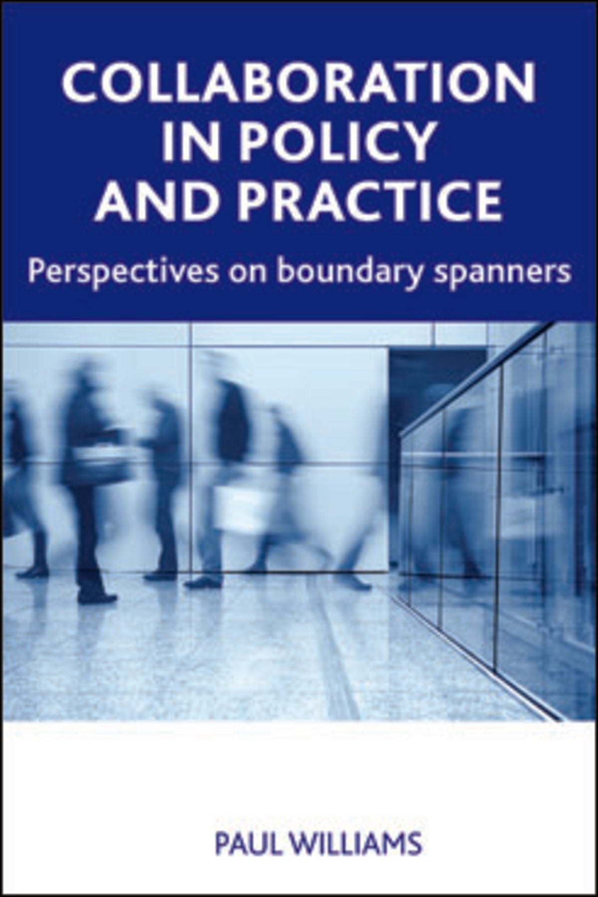 Collaboration in Public Policy and Practice