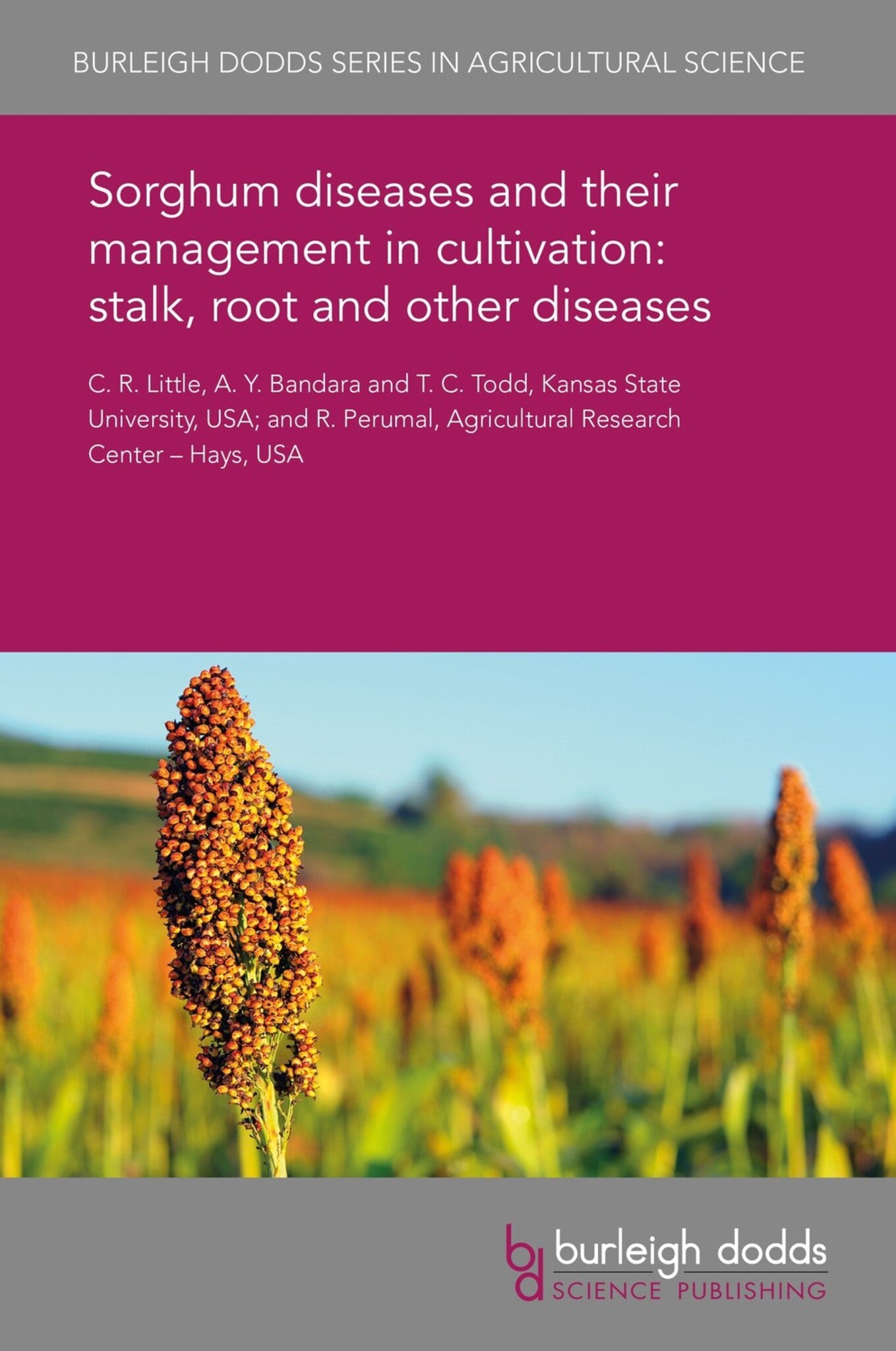 Cover image for Sorghum diseases and their management in cultivation: stalk, root and other diseases ISBN 9781838797652