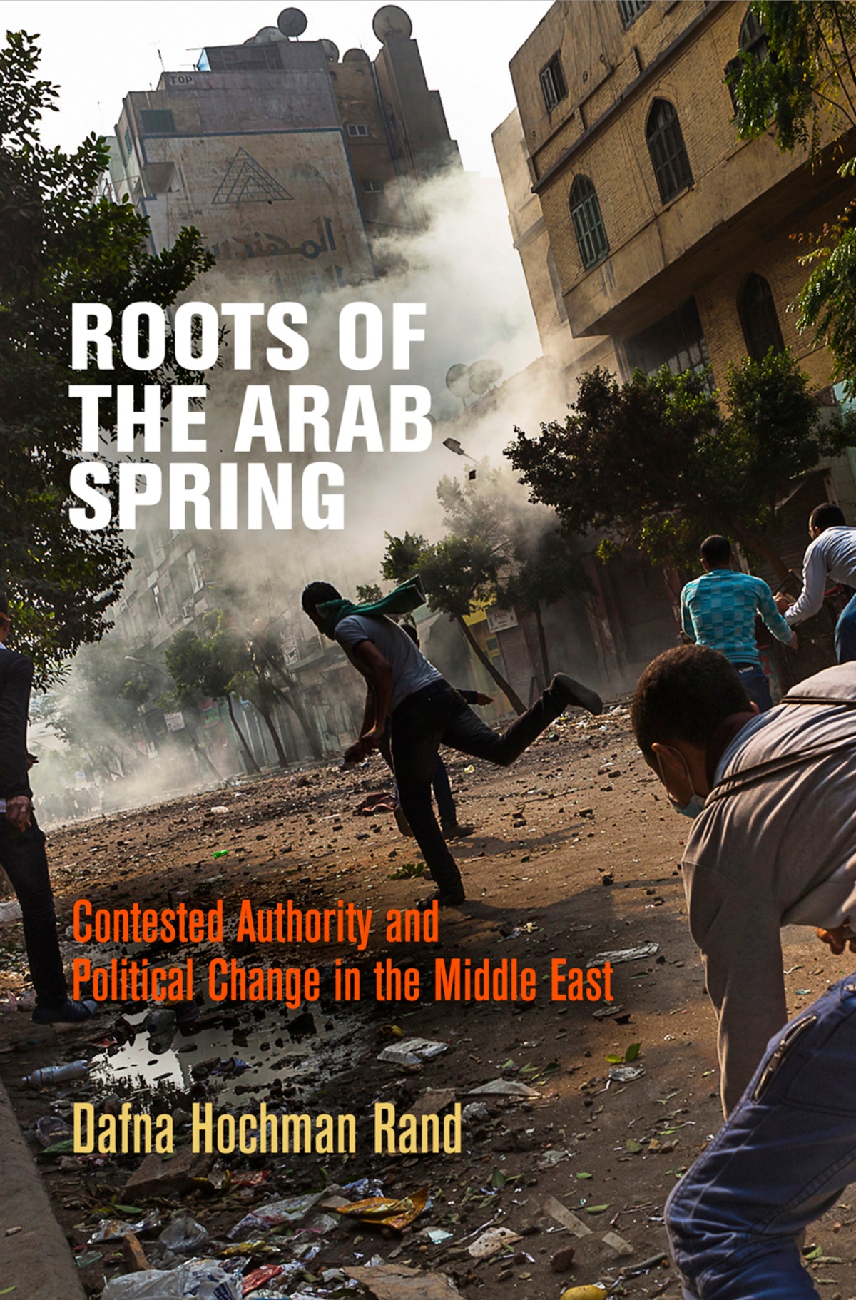 Roots of the Arab Spring