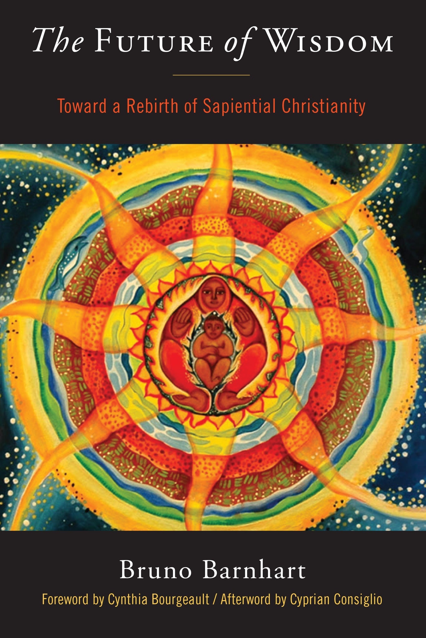 Cover image for The Future of Wisdom ISBN 9781939681836