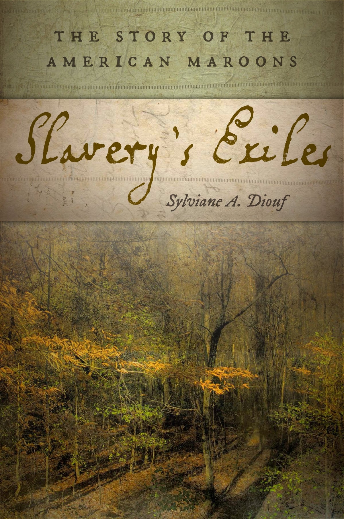 Cover image for Slavery's Exiles ISBN 9780814760284