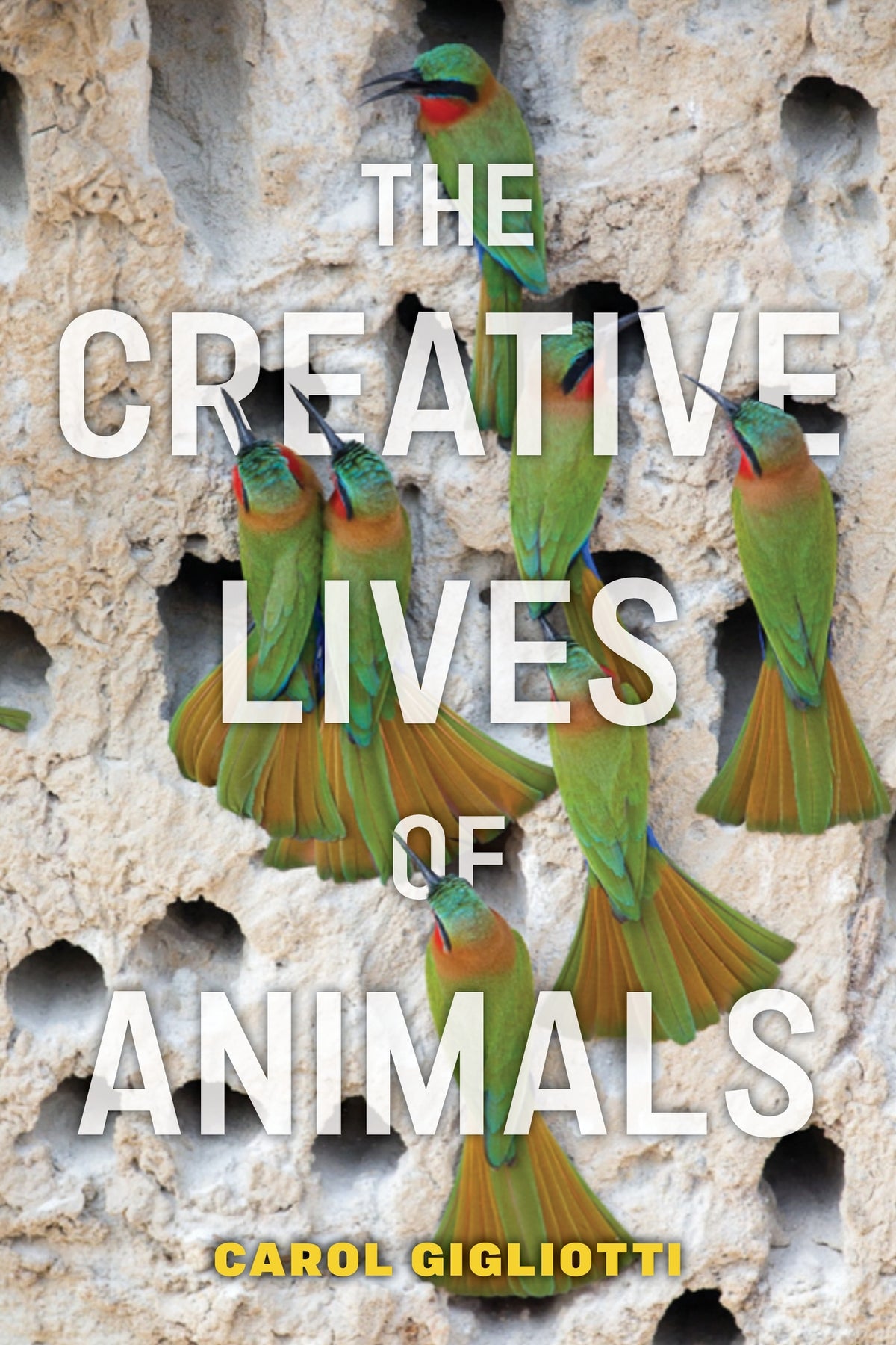 Cover image for The Creative Lives of Animals ISBN 9781479815449