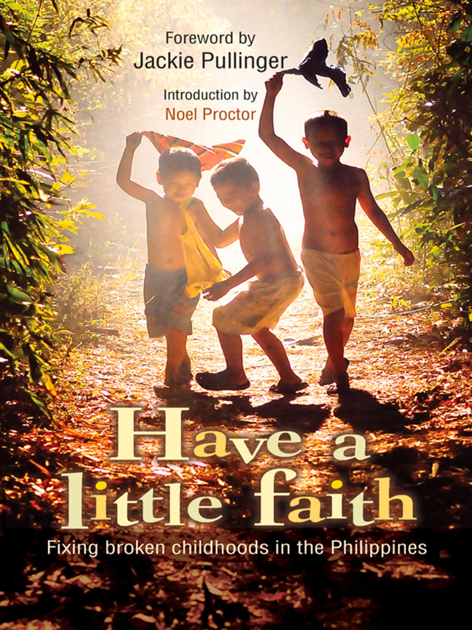 Cover image for Have a Little Faith ISBN 9780857215048