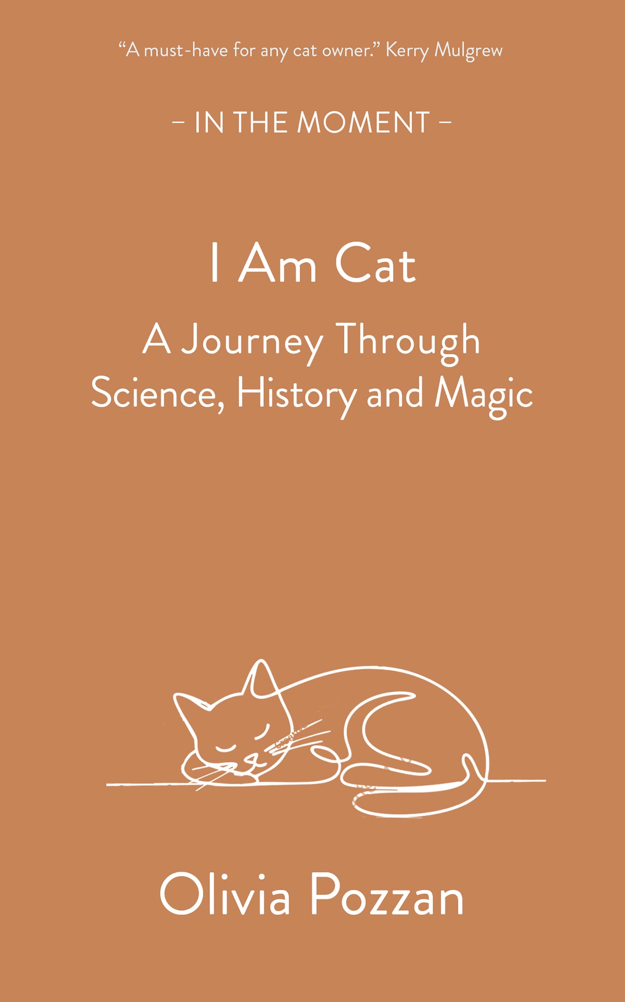 I Am Cat