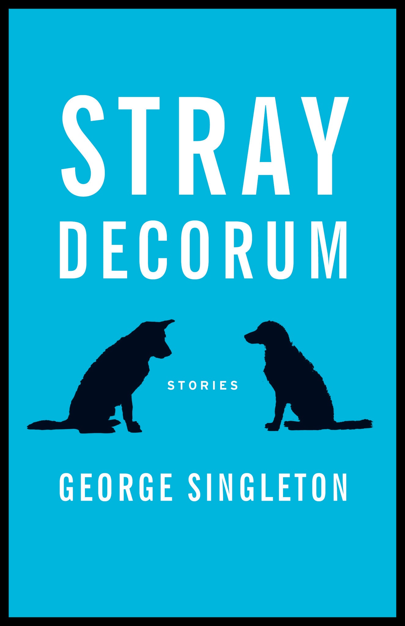 Cover image for Stray Decorum ISBN 9781938103612