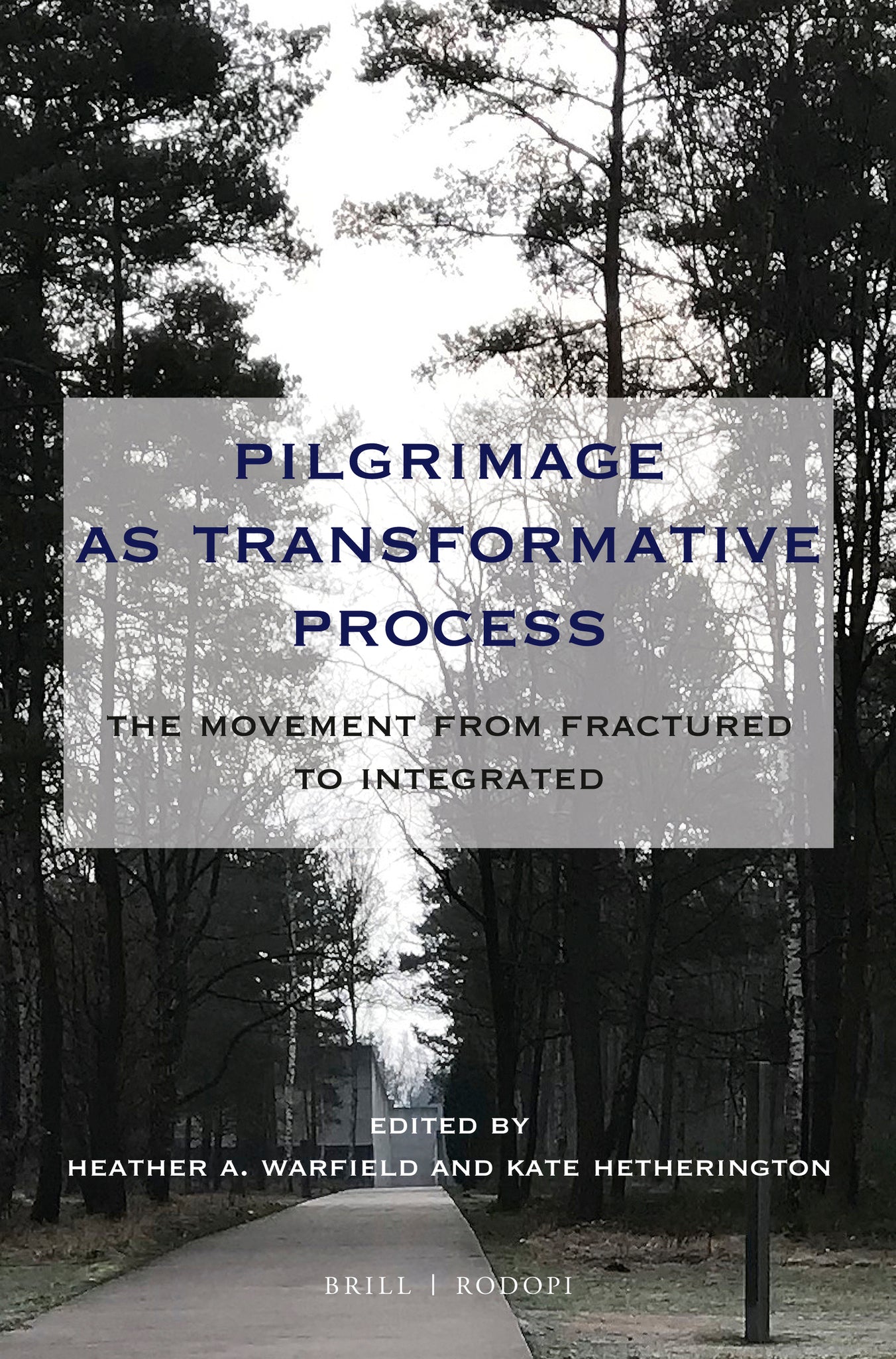 Cover image for Pilgrimage as Transformative Process ISBN 9789004373396
