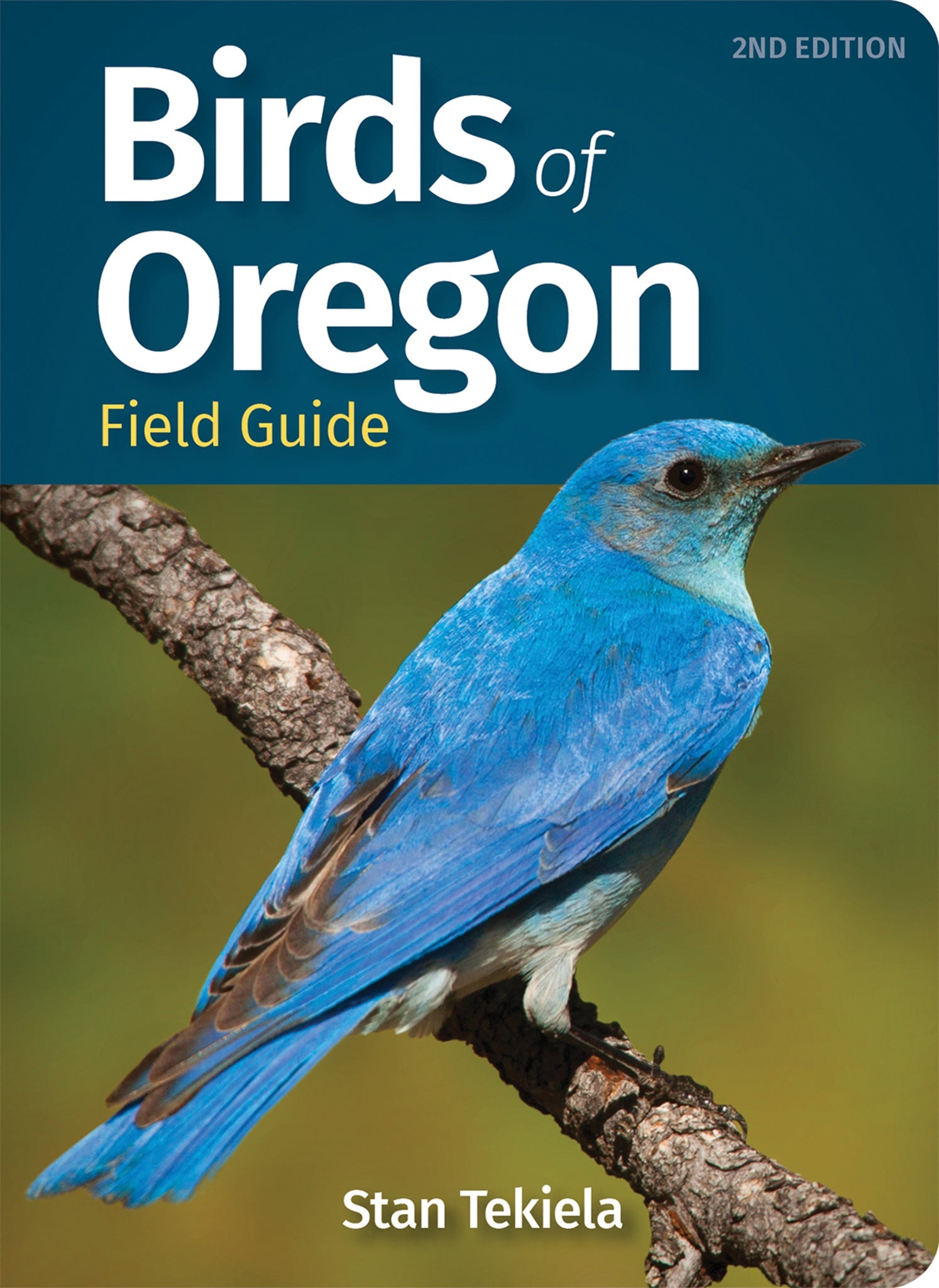Cover image for Birds of Oregon Field Guide ISBN 9781647551520