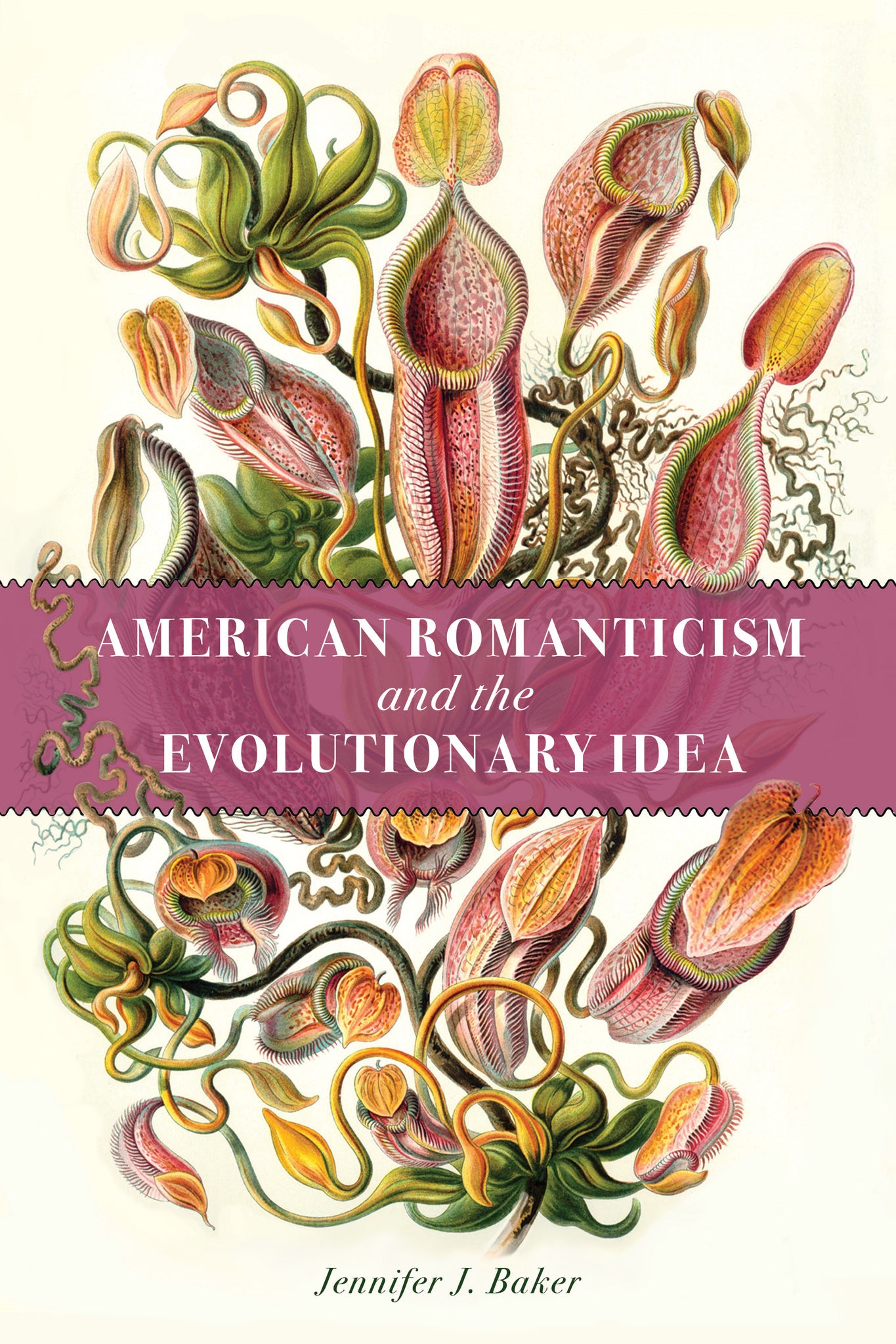 American Romanticism and the Evolutionary Idea
