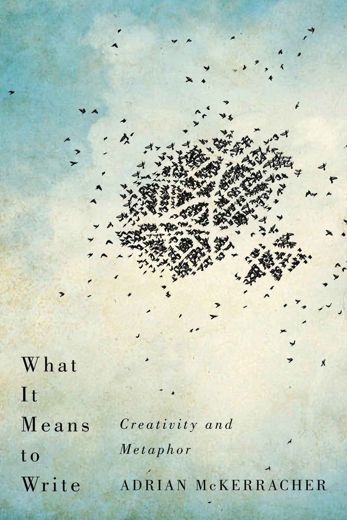 Cover image for What It Means to Write ISBN 9780773557215