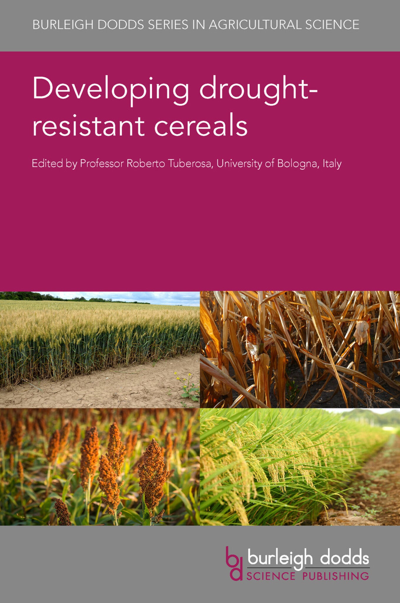 Cover image for Developing drought-resistant cereals ISBN 9781786769879