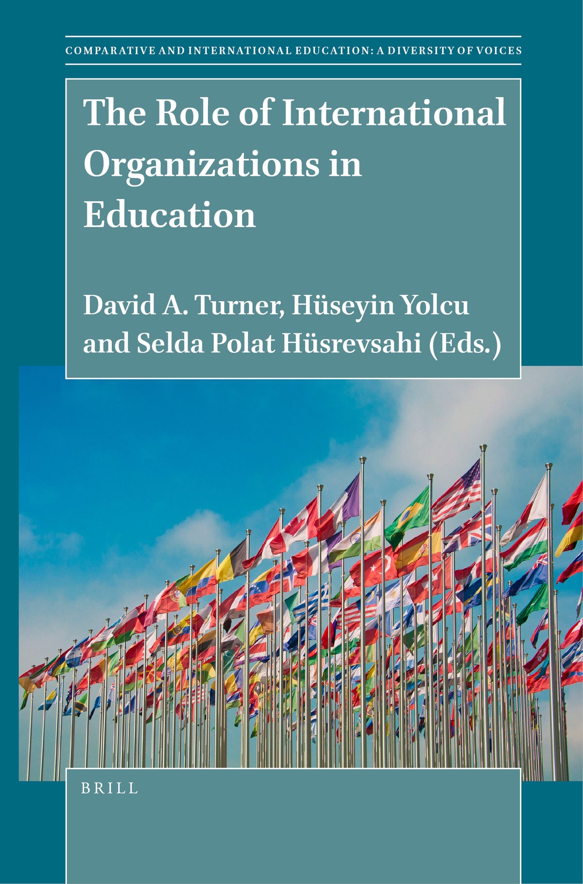Cover image for The Role of International Organizations in Education ISBN 9789004523104