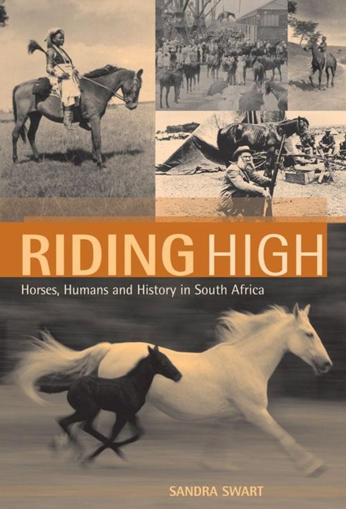 Cover image for Riding High ISBN 9781868145140