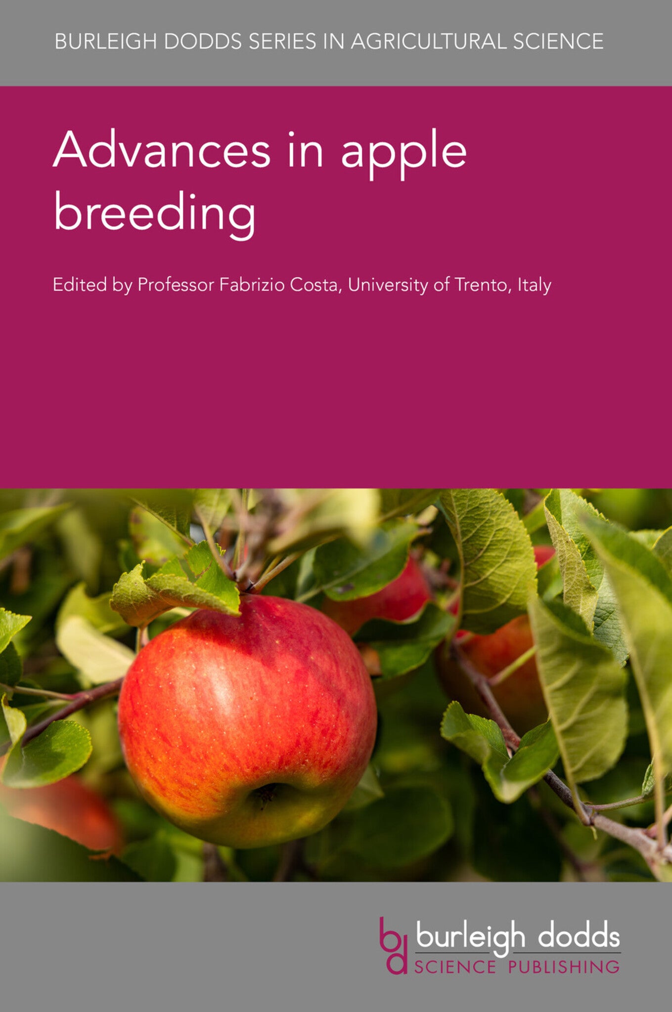 Advances in apple breeding