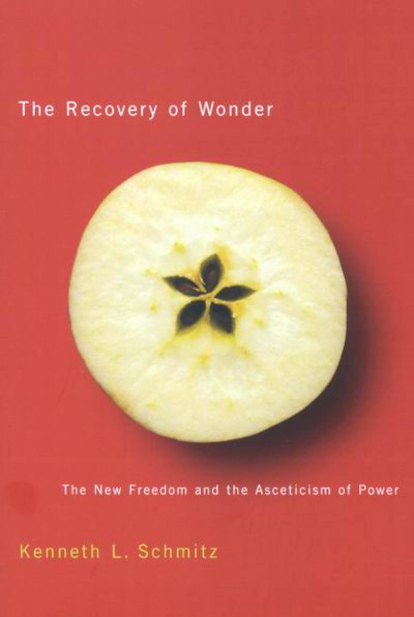 Cover image for The Recovery of Wonder ISBN 9780773528581