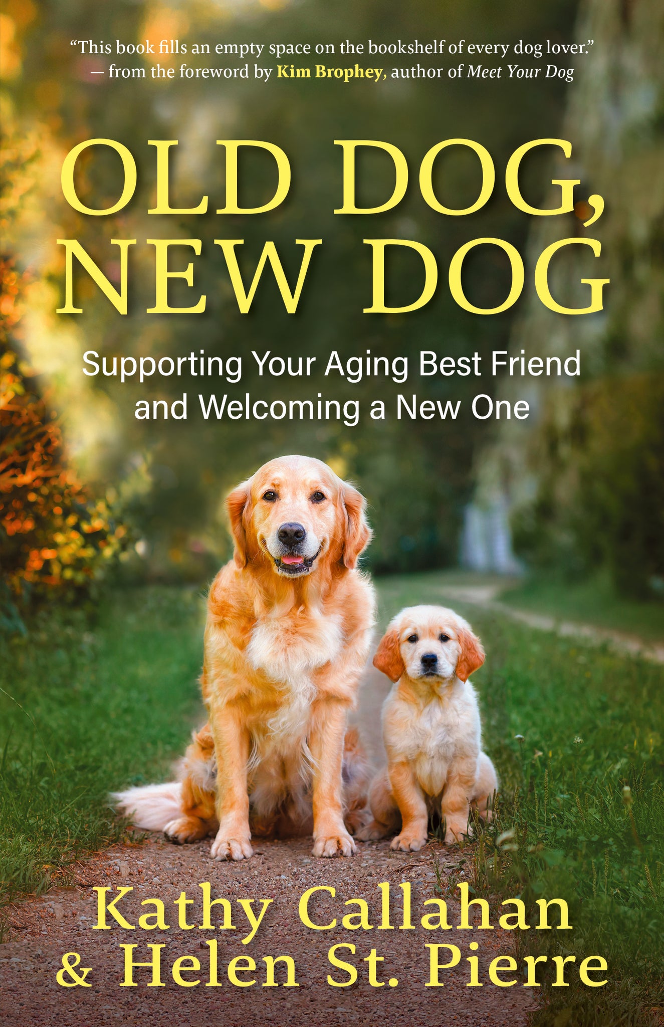 Old Dog, New Dog