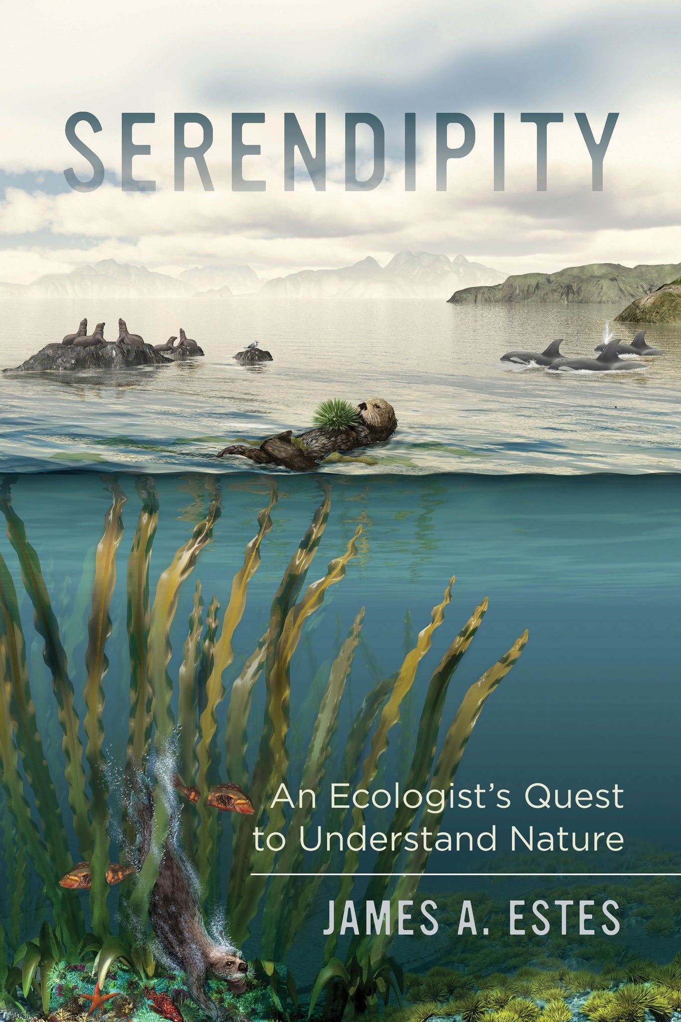 Cover image for Serendipity ISBN 9780520960633