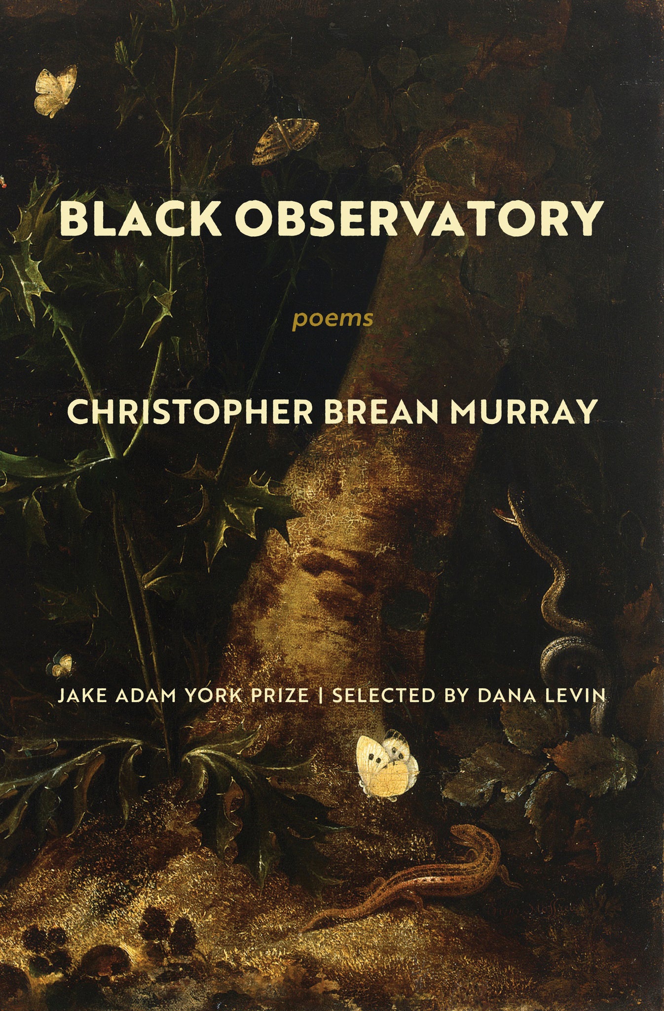 Cover image for Black Observatory ISBN 9781639550265