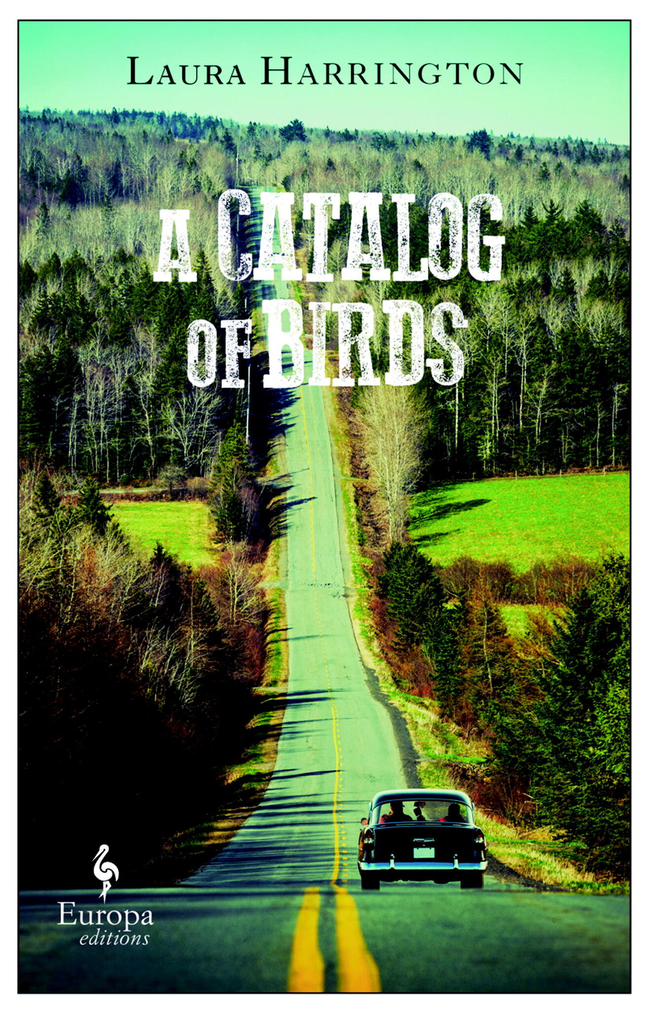 A Catalog of Birds