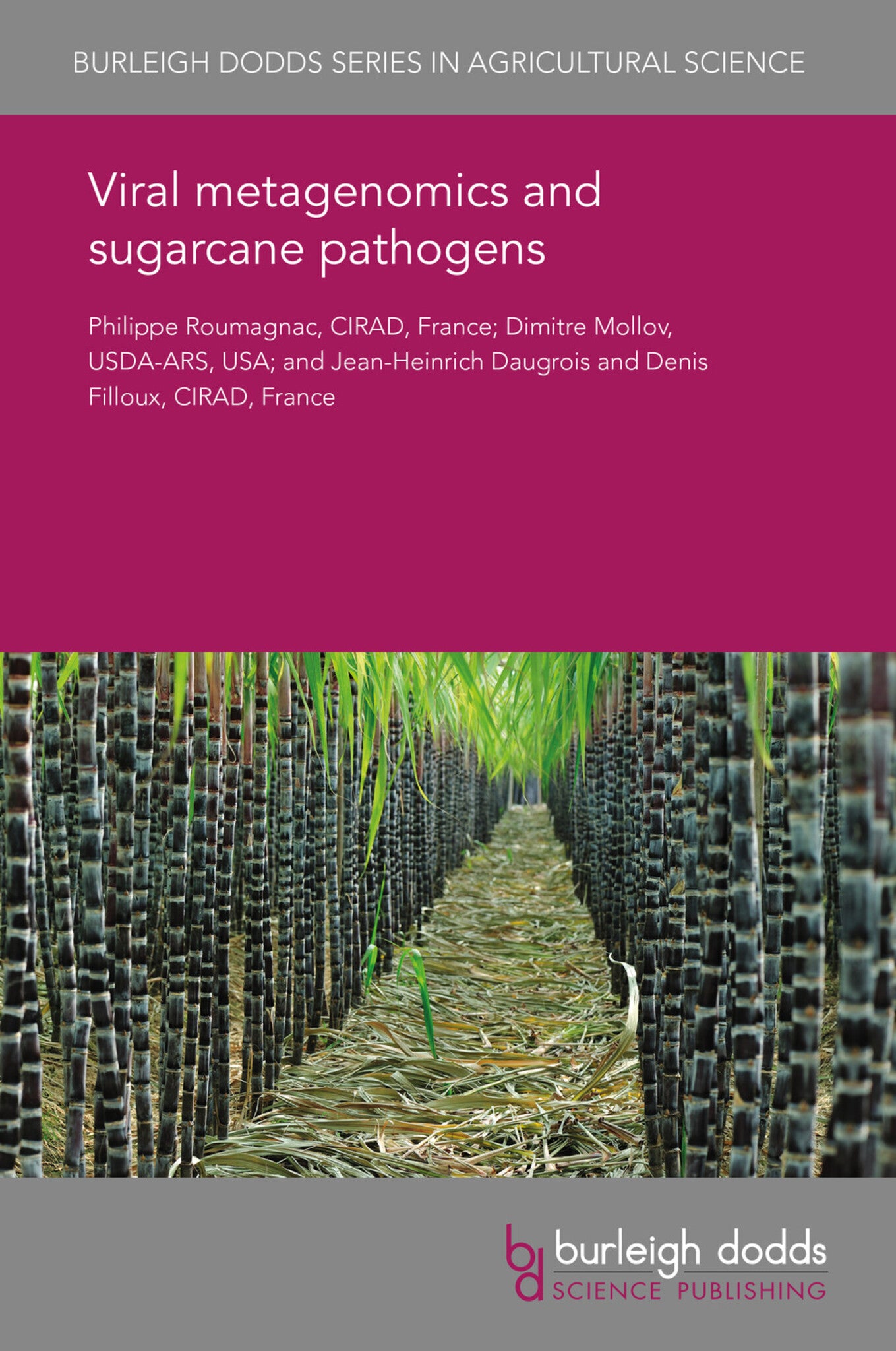 Cover image for Viral metagenomics and sugarcane pathogens ISBN 9781838795979