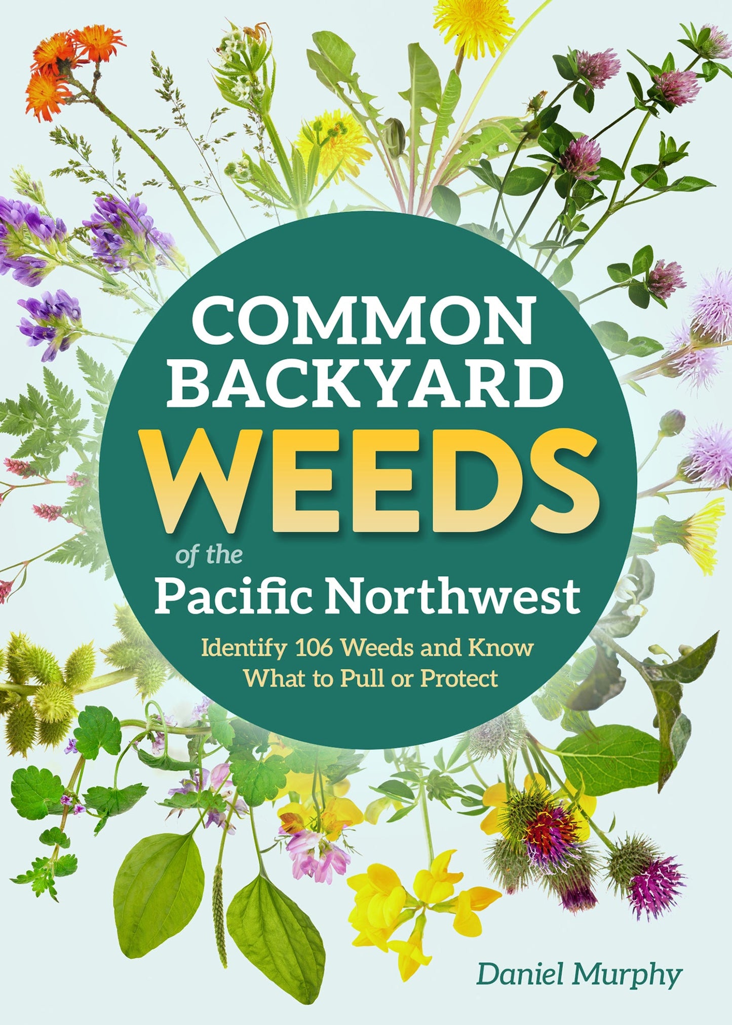 Cover image for Common Backyard Weeds of the Pacific Northwest ISBN 9781647555740