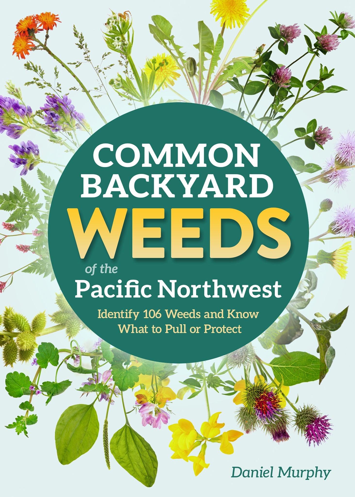 Cover image for Common Backyard Weeds of the Pacific Northwest ISBN 9781647555740