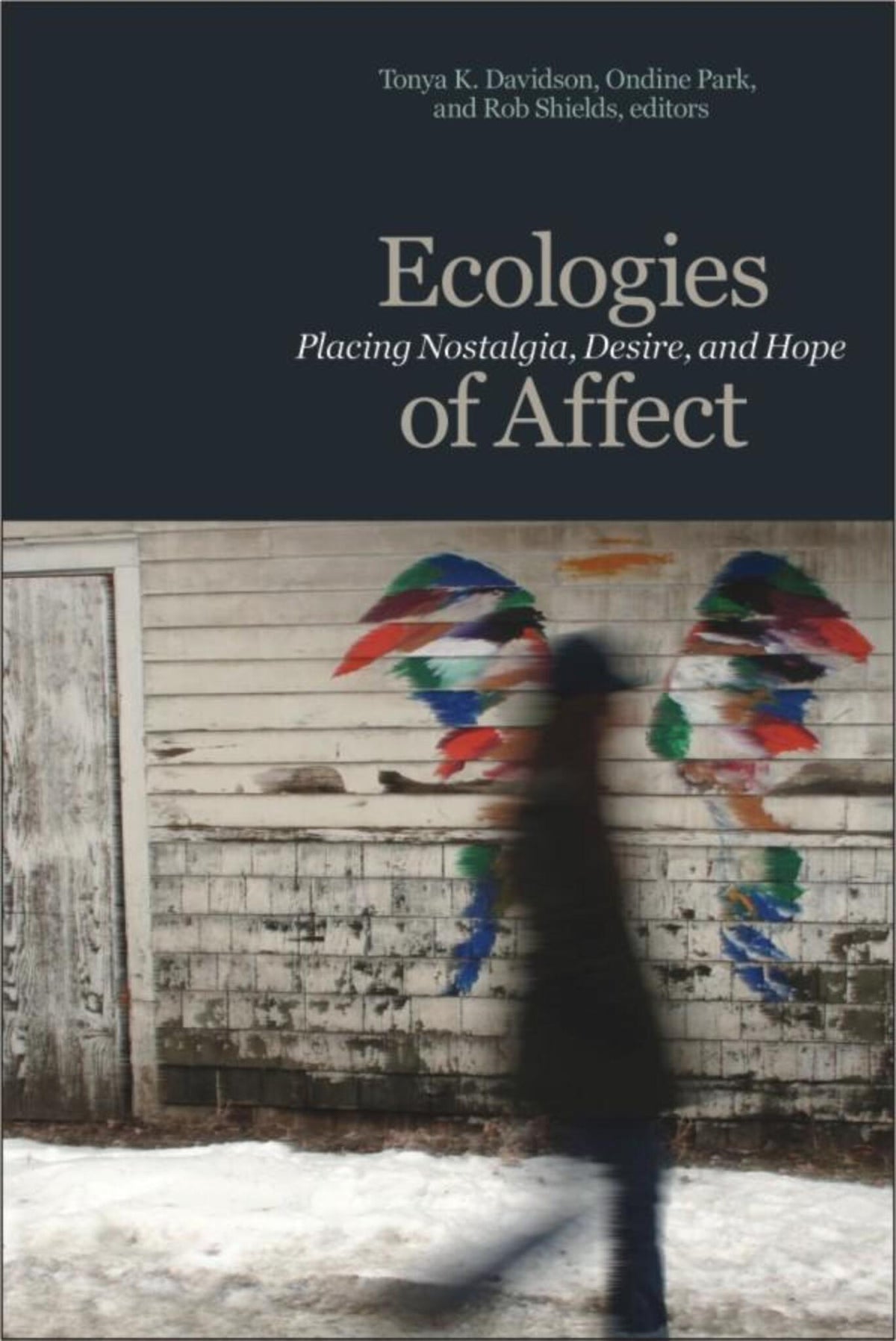 Cover image for Ecologies of Affect ISBN 9781554582587