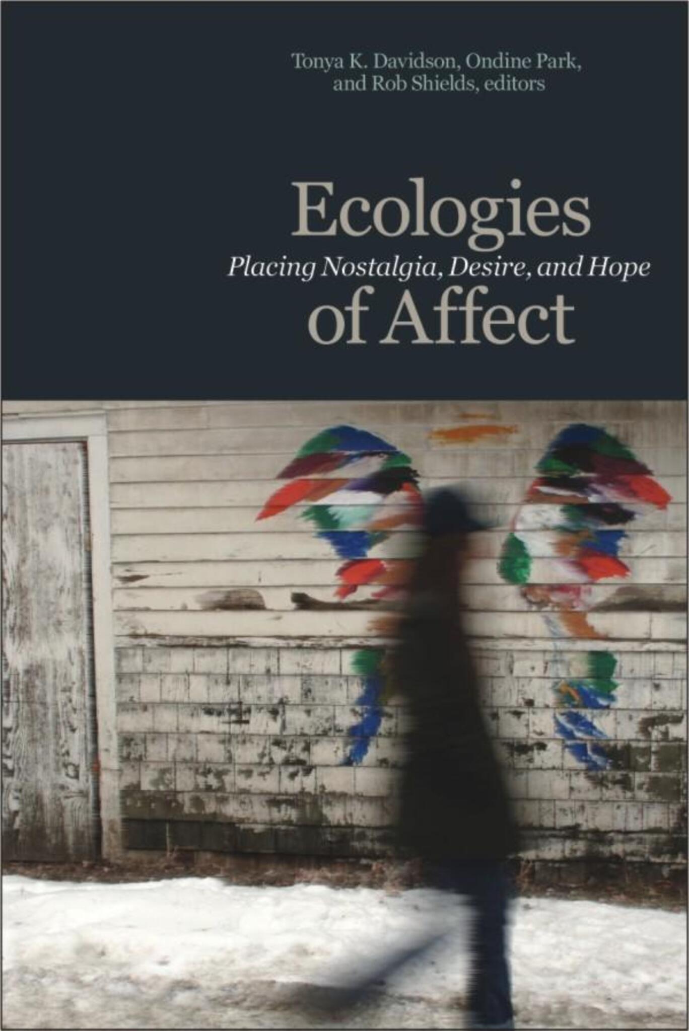 Cover image for Ecologies of Affect ISBN 9781554582587