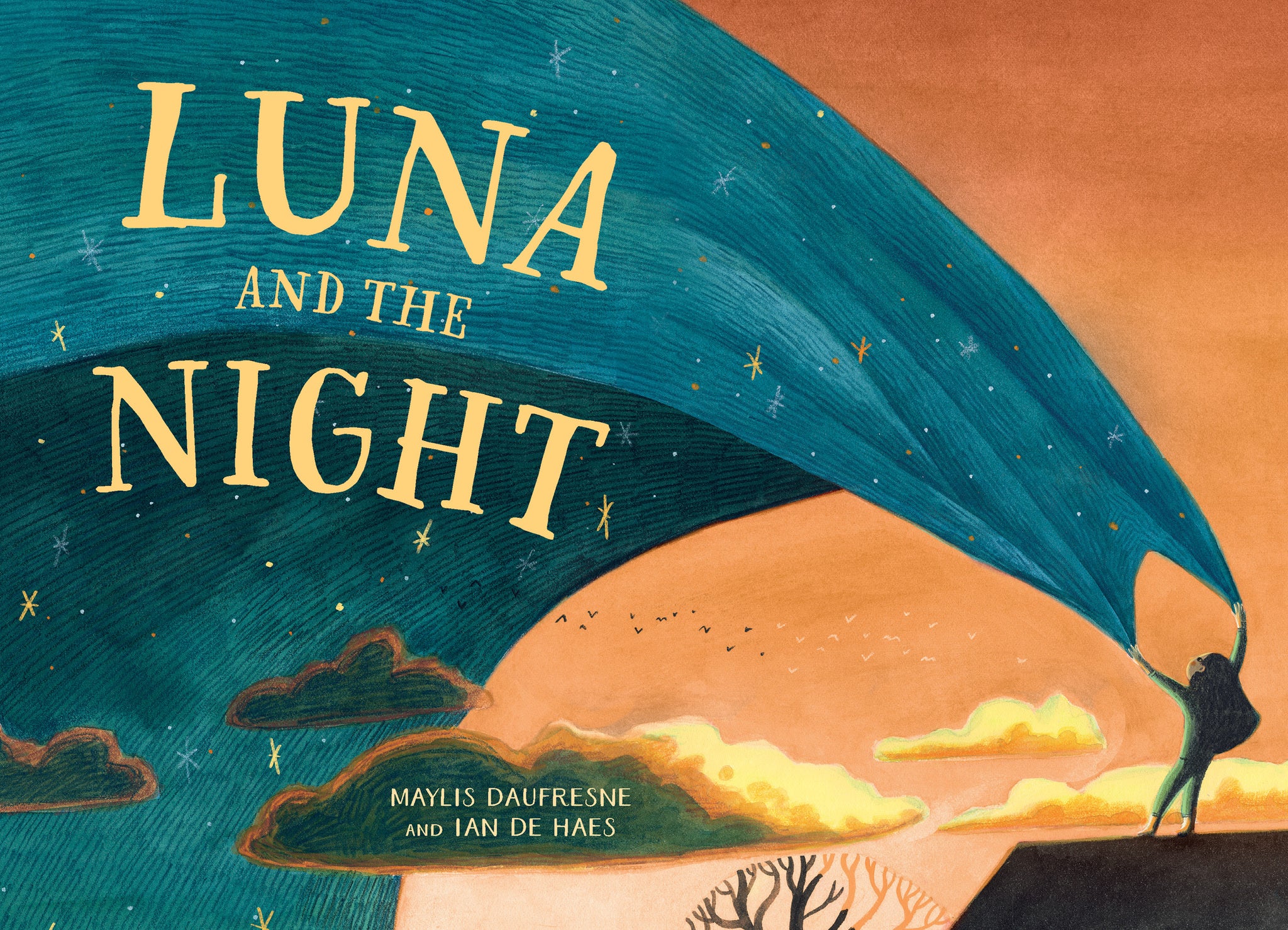 Cover image for Luna and the Night ISBN 9781782509783