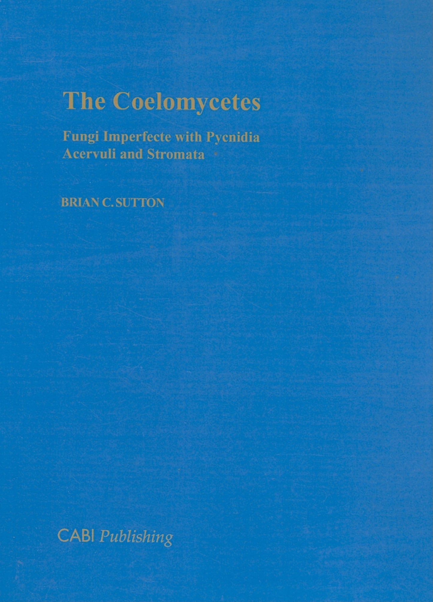 Coelomycetes