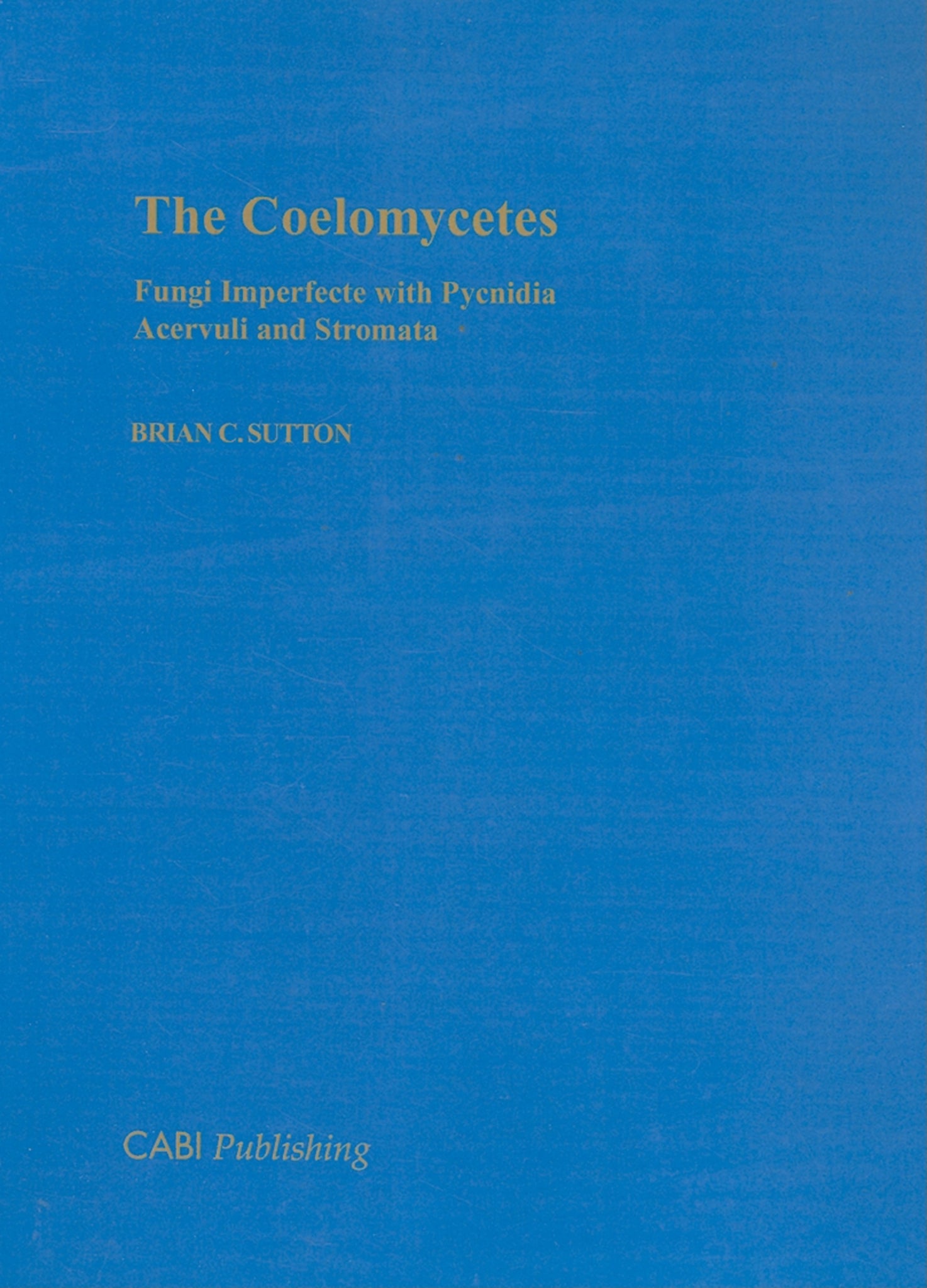 Coelomycetes