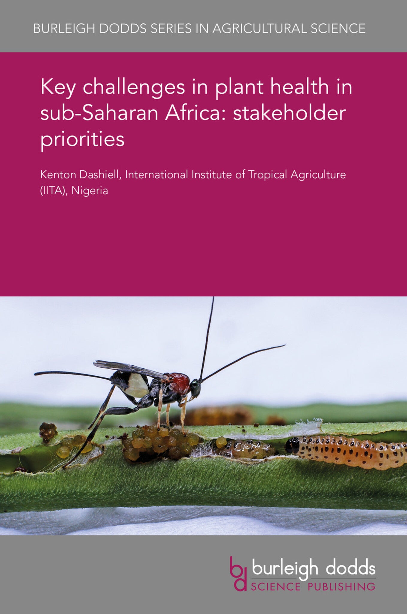 Cover image for Key challenges in plant health in sub-Saharan Africa: stakeholder priorities ISBN 9781838797492