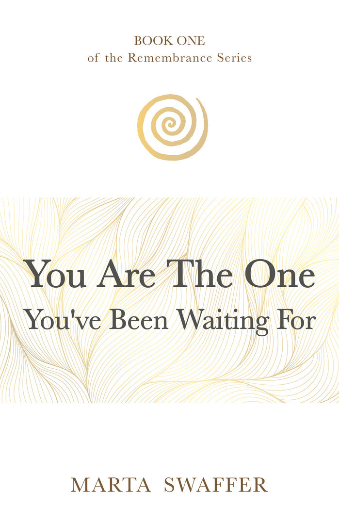 Cover image for You Are The One You’ve Been Waiting For ISBN 9781636989570