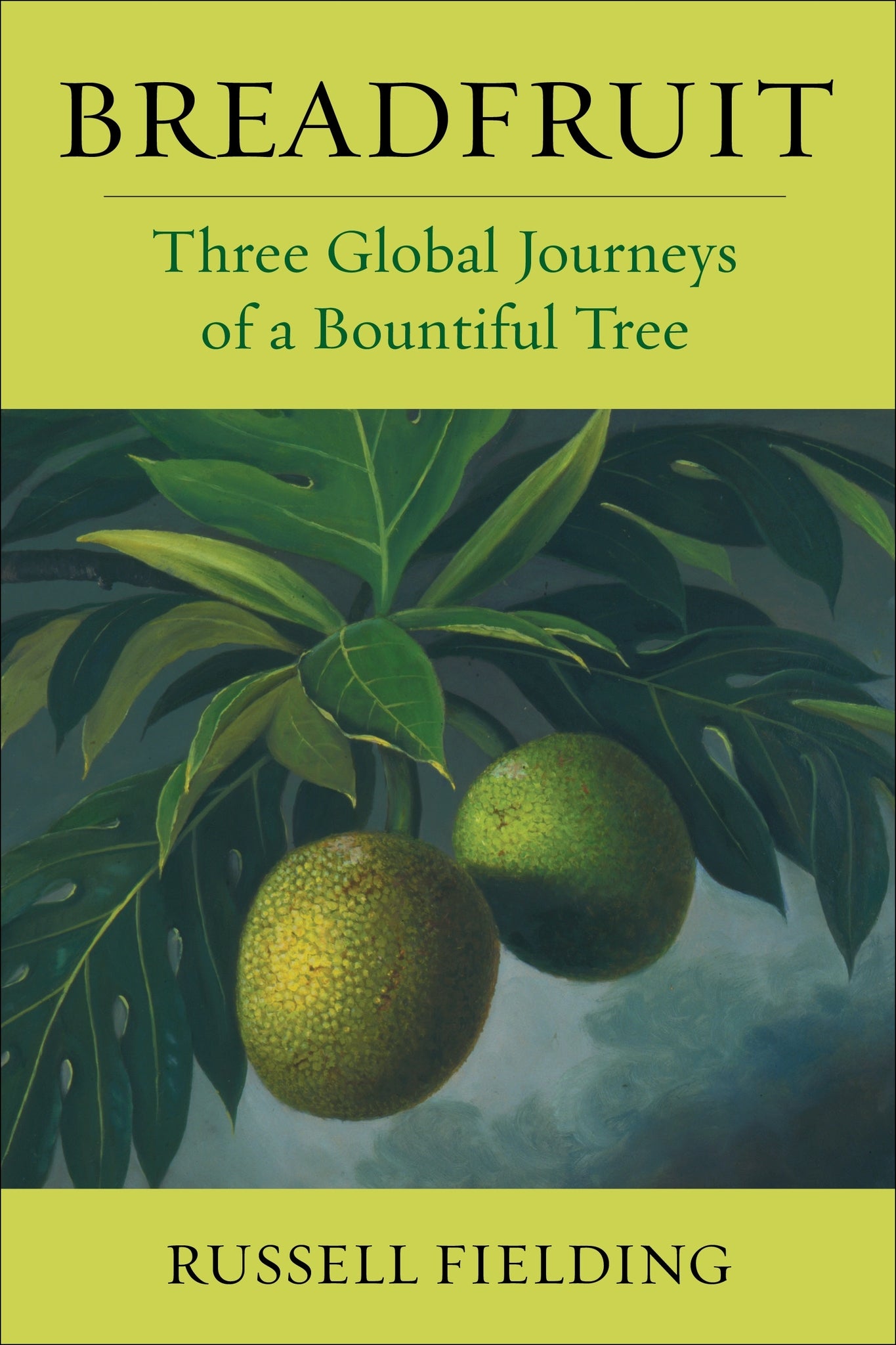 Breadfruit