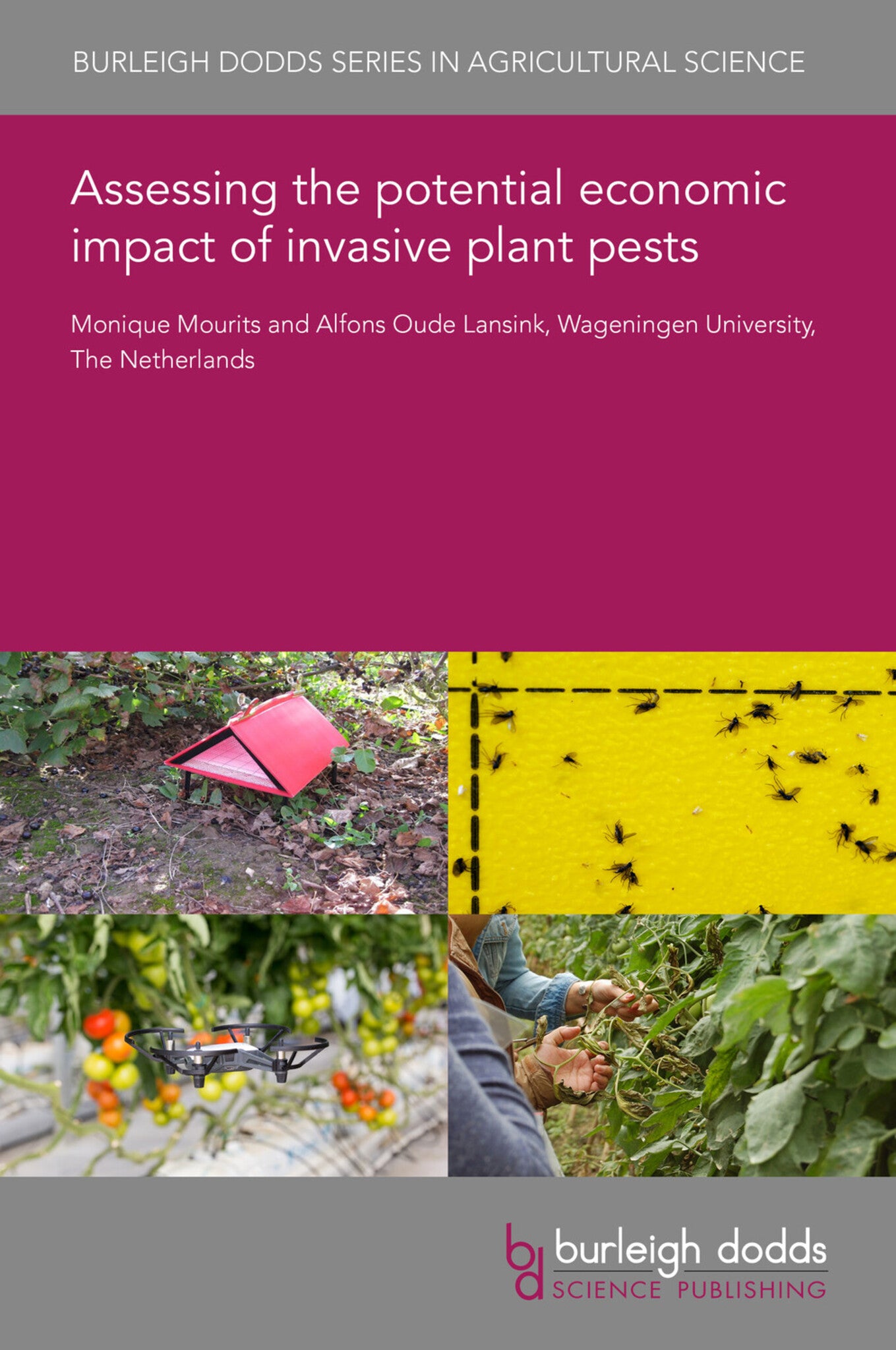 Cover image for Assessing the potential economic impact of invasive plant pests ISBN 9781801468367