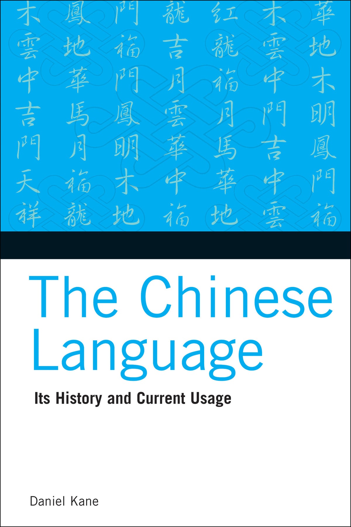 Cover image for The Chinese Language ISBN 9780804838535
