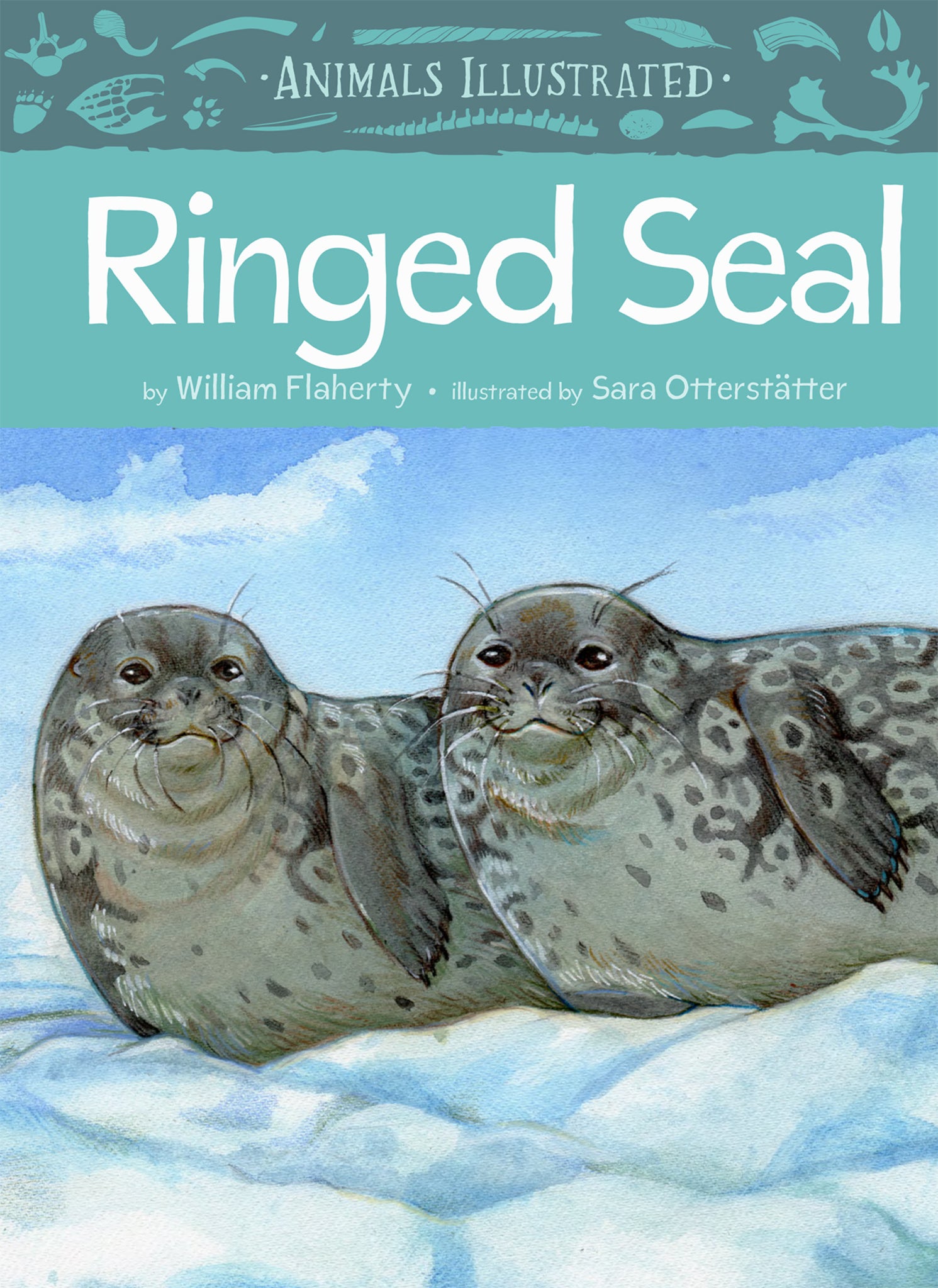 Cover image for Animals Illustrated: Ringed Seal ISBN 9781772273700