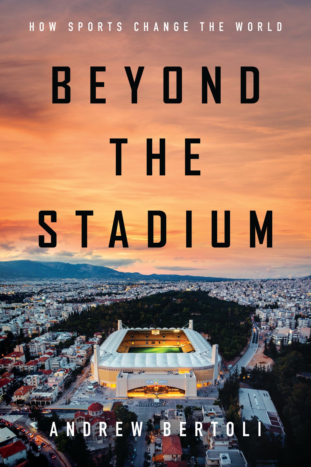 Cover image for Beyond the Stadium ISBN 9781503645493