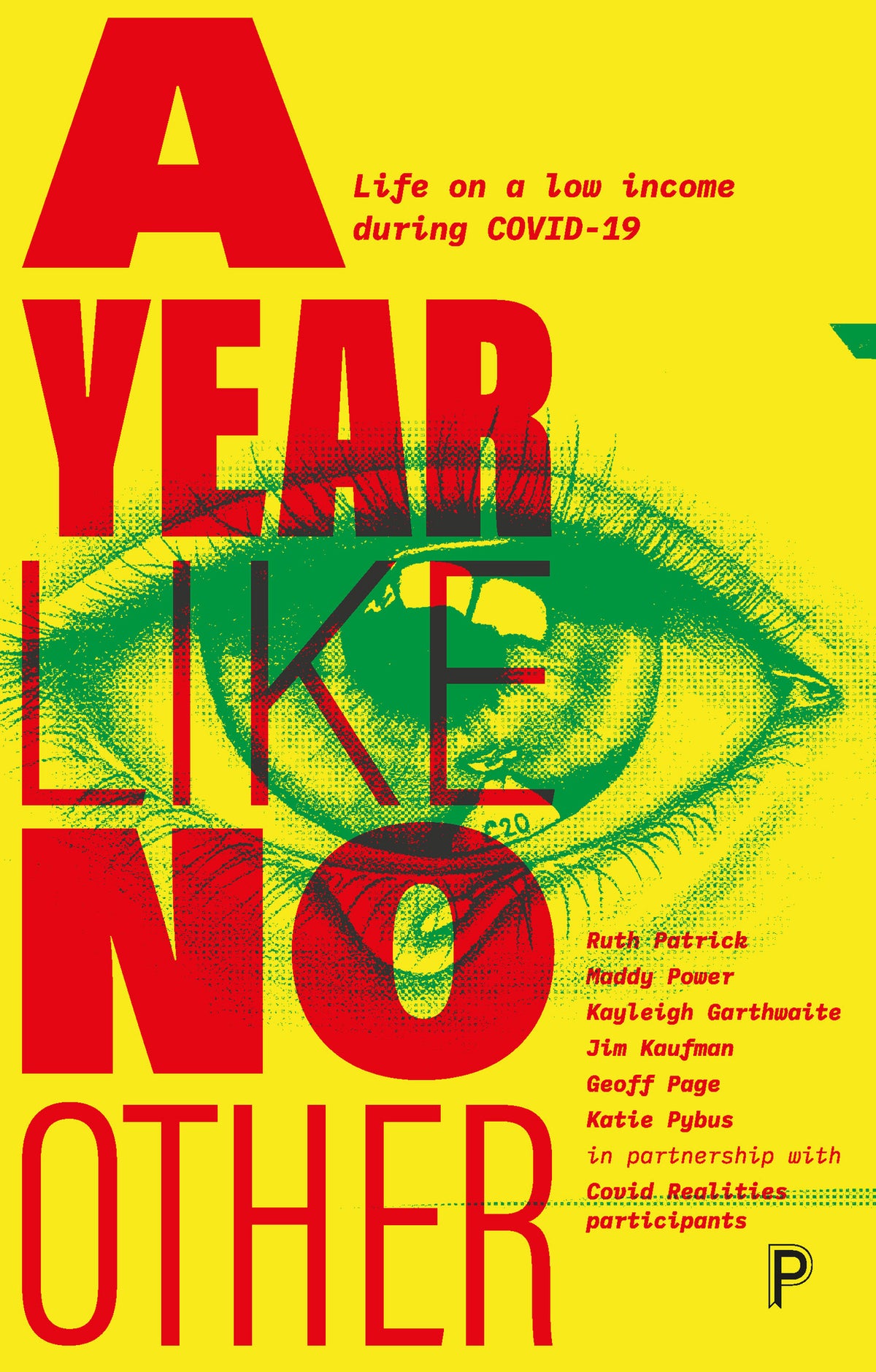 Cover image for A Year Like No Other ISBN 9781447364696