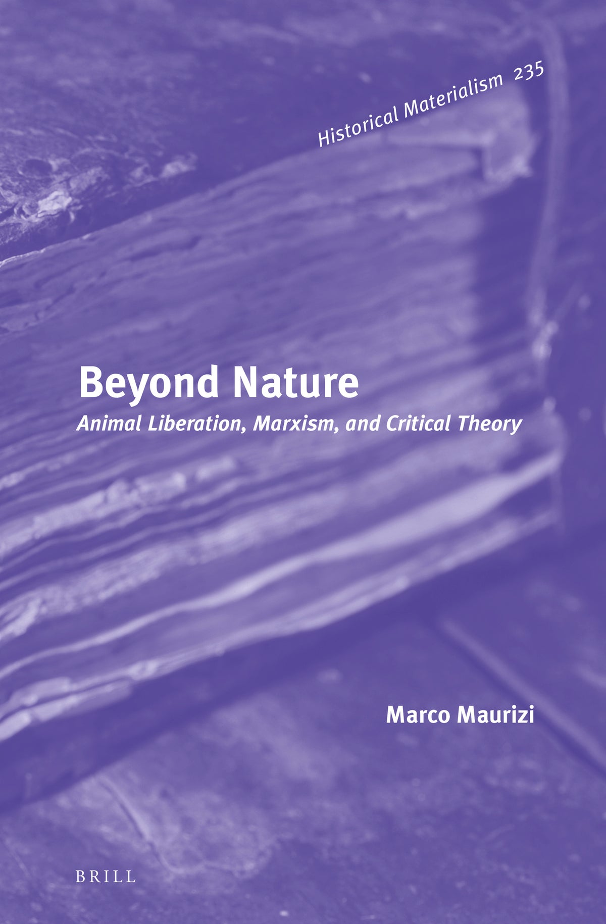 Cover image for Beyond Nature ISBN 9789004466647
