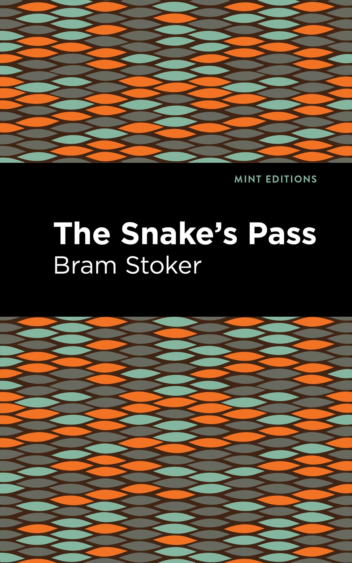 Cover image for The Snake's Pass ISBN 9781513132846