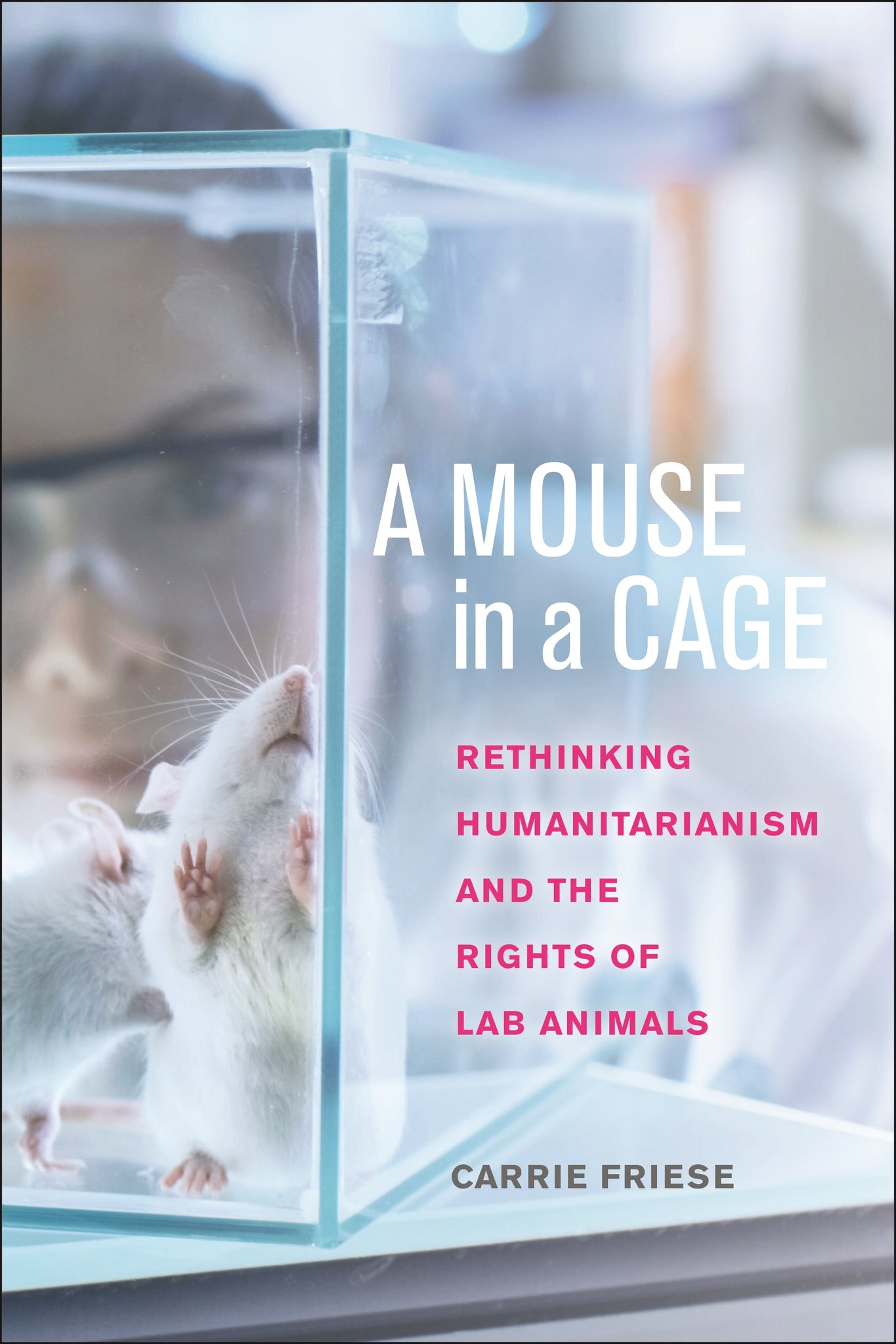 Cover image for A Mouse in a Cage ISBN 9781479833481