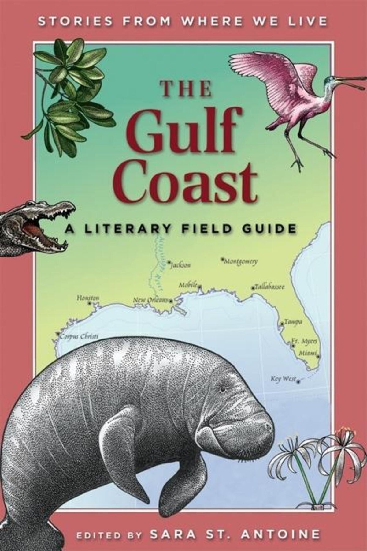 Cover image for The Gulf Coast ISBN 9781571316653